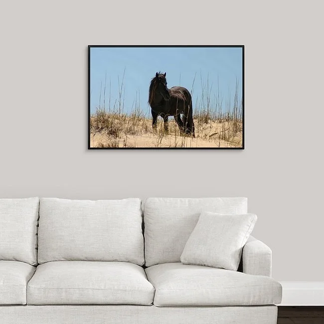Black Stallion Hill - Framed Canvas.jpeg