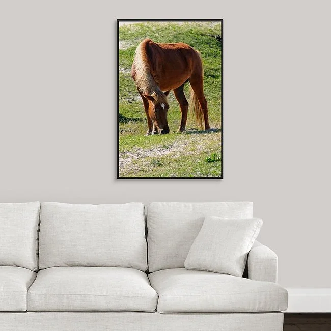 Grazing Time I Framed Canvas.jpeg
