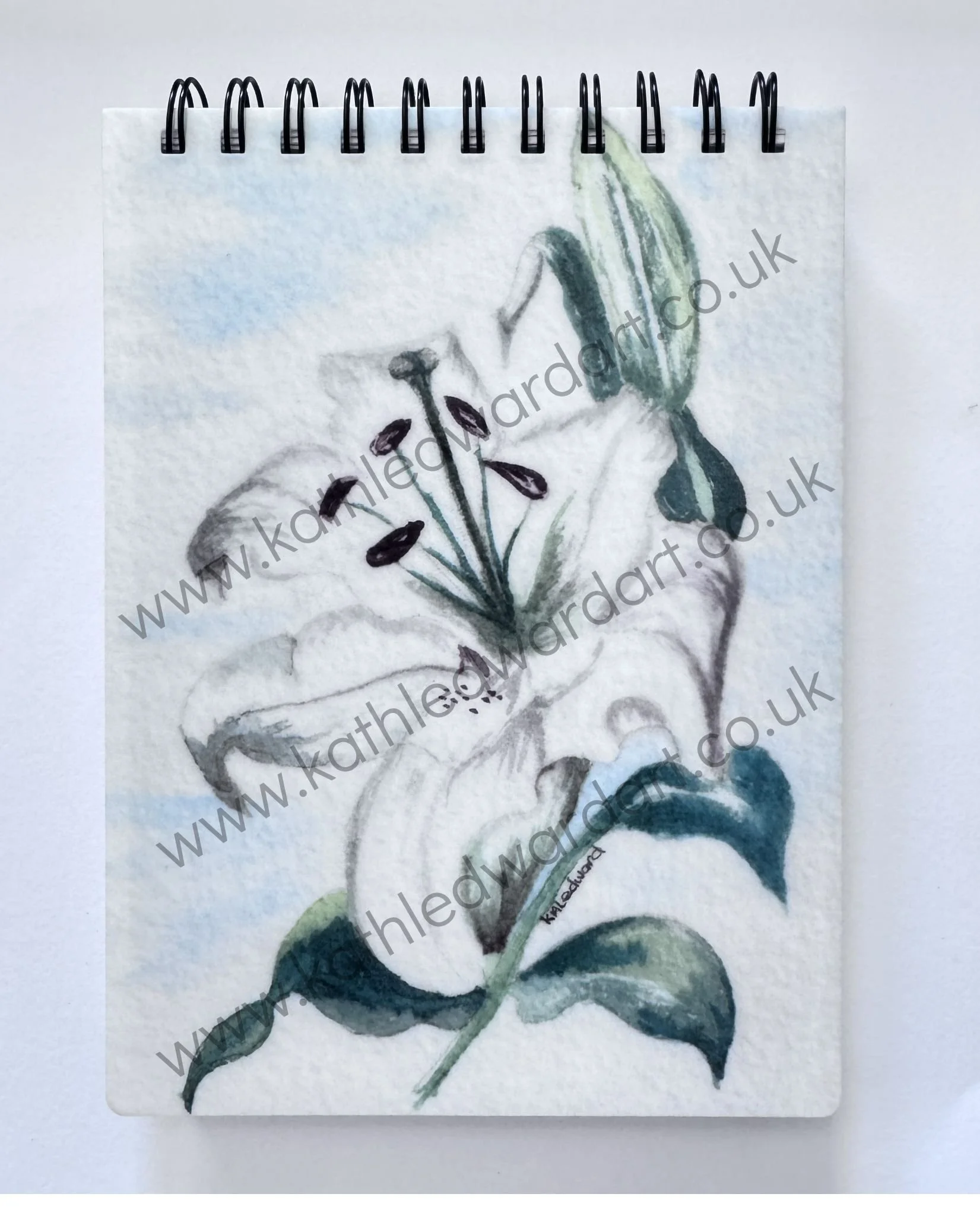 Lily A6 Blank Notebook.jpg
