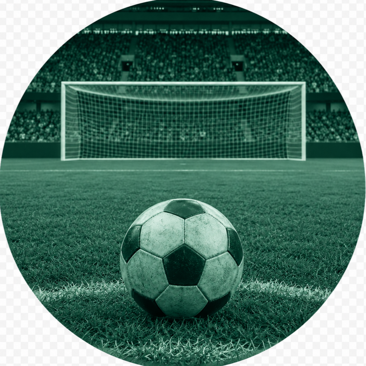 Soccer ball on a field with goal net and stadium crowd in the background.