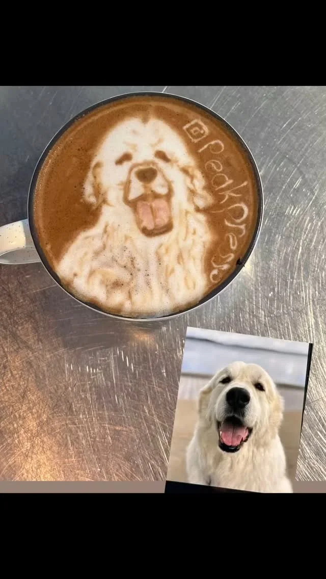 Some works ☕️
…
#boston #coffee #latteart #massachusetts #mass #latte #boston #art #ma #coffeeshop #barista #baristatraining