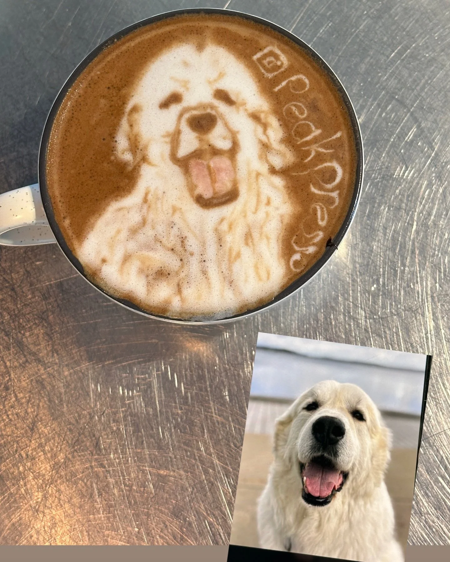 Golden Dog 🐕
#coffeelover #doglover #golden #latte #latteart #coffee #dog #art #pets #coffeeworkshop #workshop #baristatraining #barista #boston #ma #mass #massachusetts #peakpresso