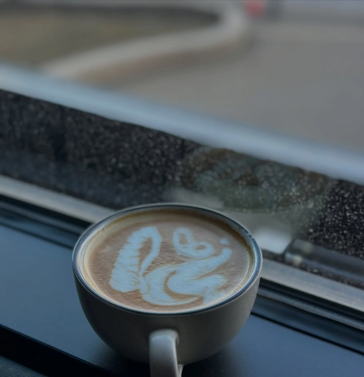 Squirrel 🐿️
#squirrel #latte #latteart #coffee #coffeeshop #art #barista #baristatraining #consultation #consultancy #consultant #boston #mass #ma #massachusetts #usa #peakpresso