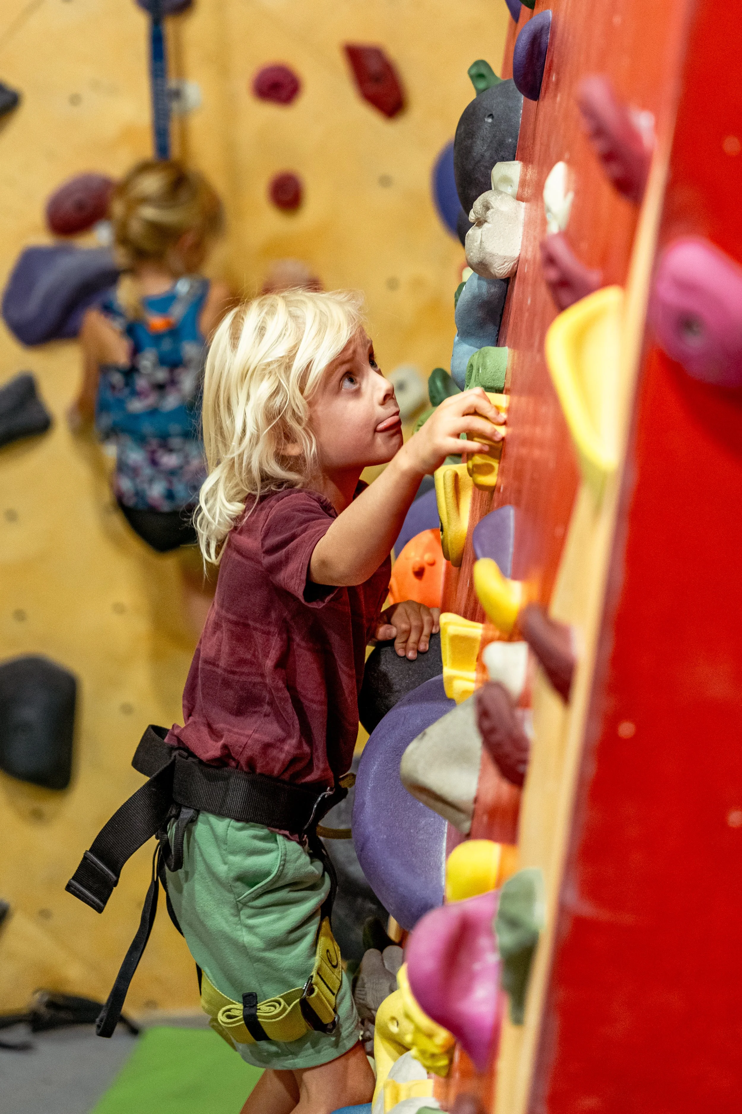 Climbing Day w/ Santa Fe Climbing Center