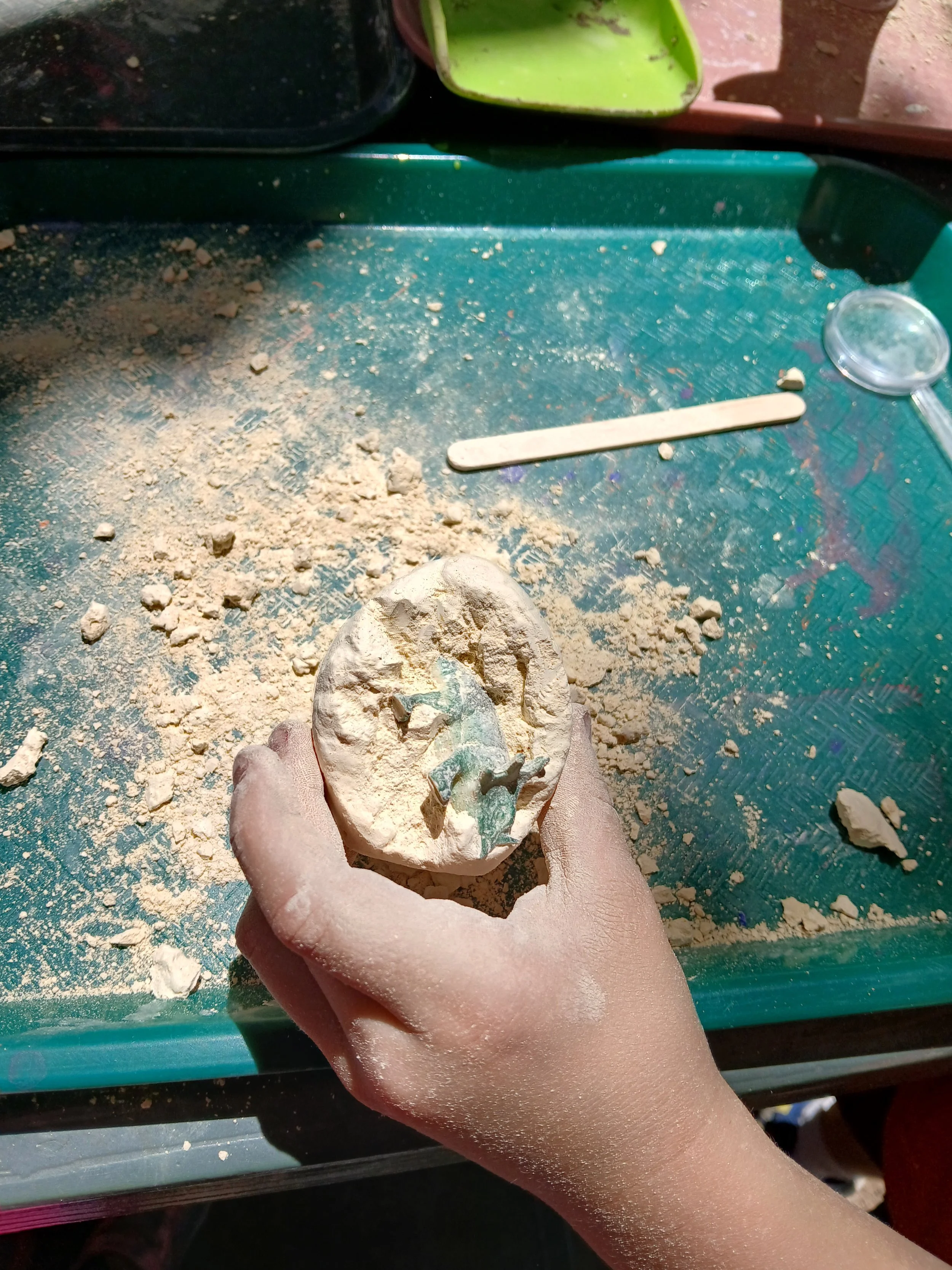 We found fossils!!!