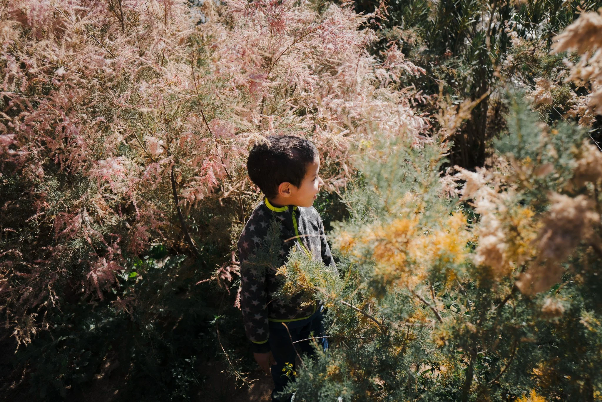 Ein kleiner Junge steht zwischen dichtem, blühendem Gebüsch mit rosa und gelben Blüten und schaut nach rechts.
