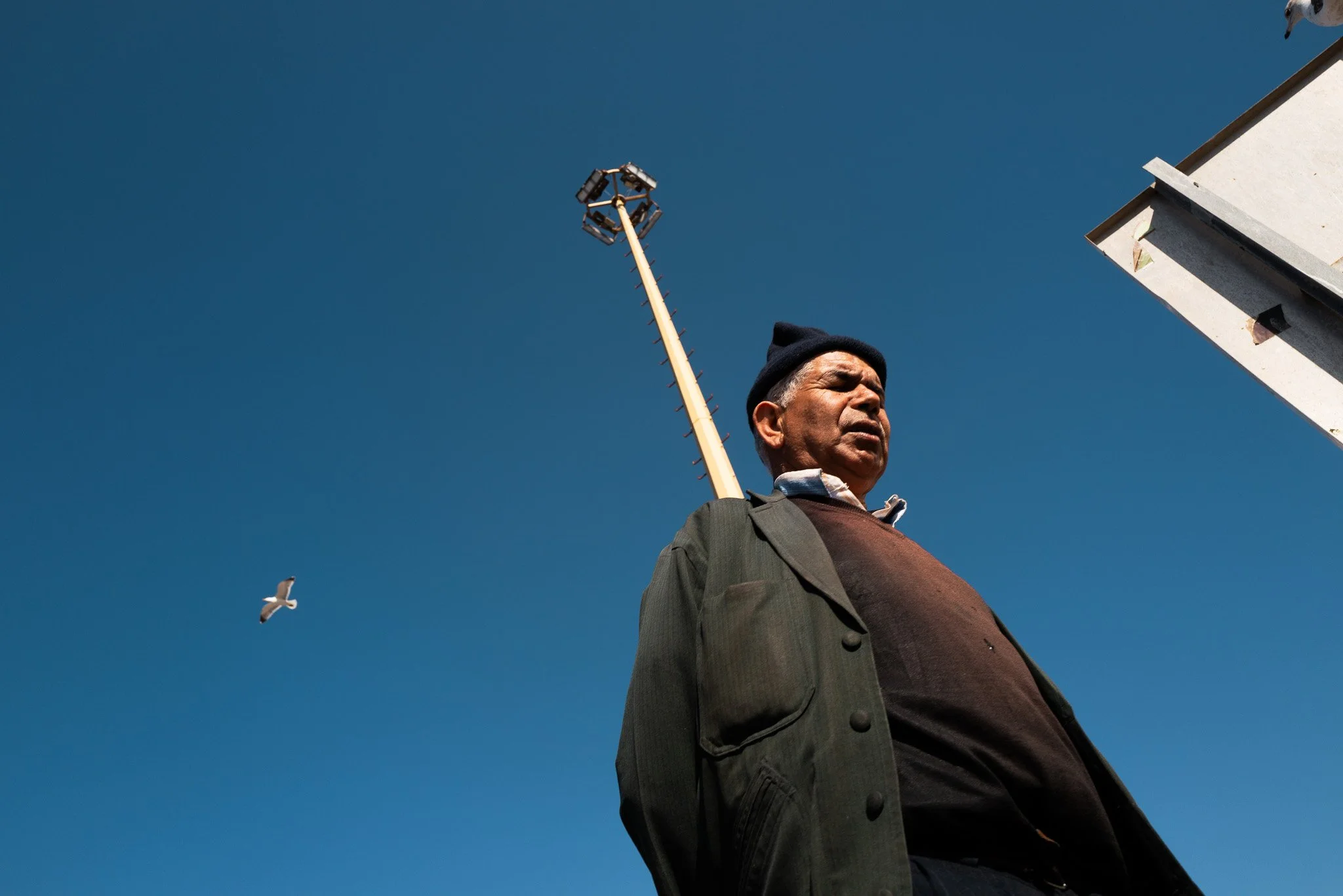 Älterer Mann steht vor einem klaren blauen Himmel, trägt eine dunkle Jacke, einen braunen Pullover, ein Hemd und eine schwarze Kappe. Es fliegen Vögel im Himmel, und in der oberen rechten Ecke ist der Rand eines Gebäudes sichtbar.