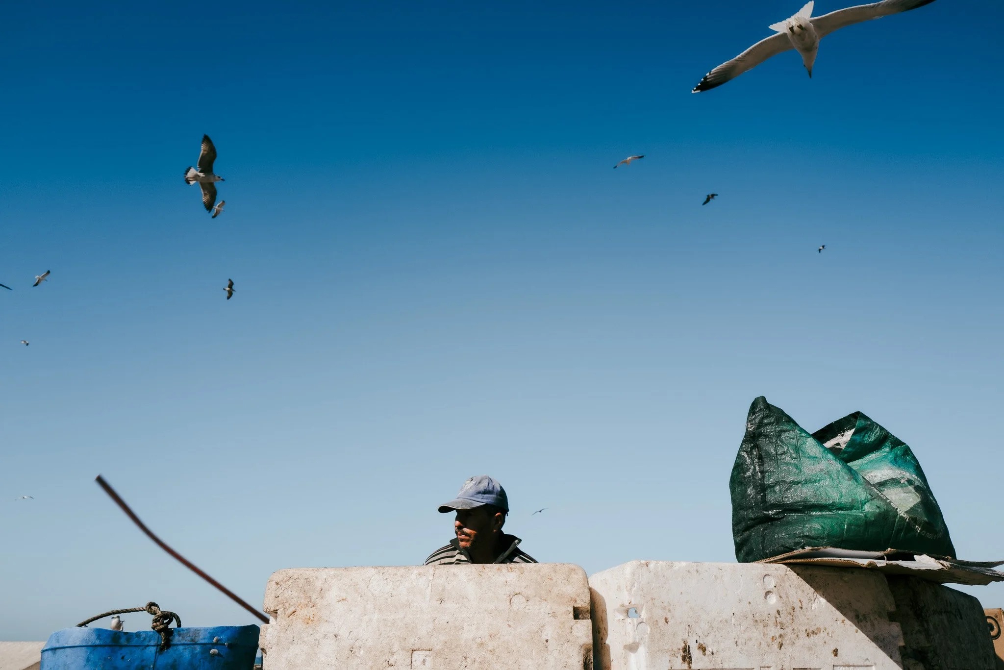 Ein Mann sitzt hinter einer Betonmauer mit einem blauen und einem grünen Sack, während Vögel im blauen Himmel fliegen.
