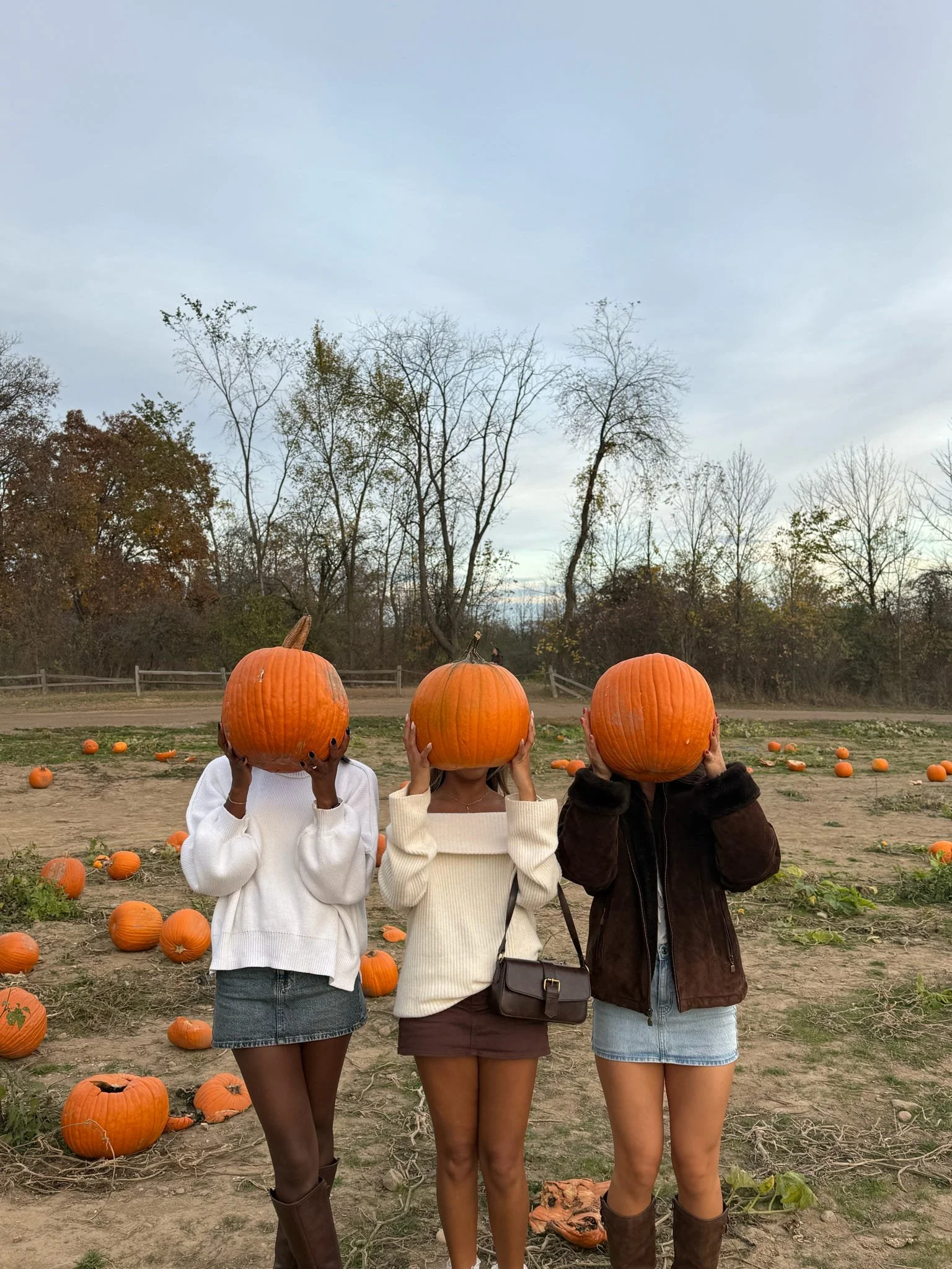 20251017_192924_3A72E3.jpeg