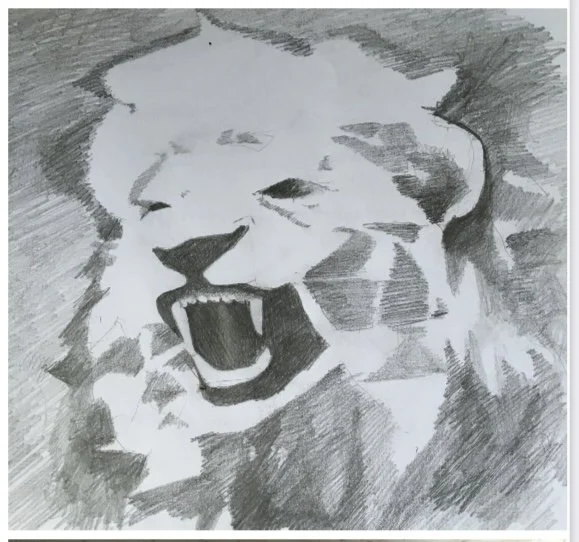 Sketch of a roaring lion with detailed shading.