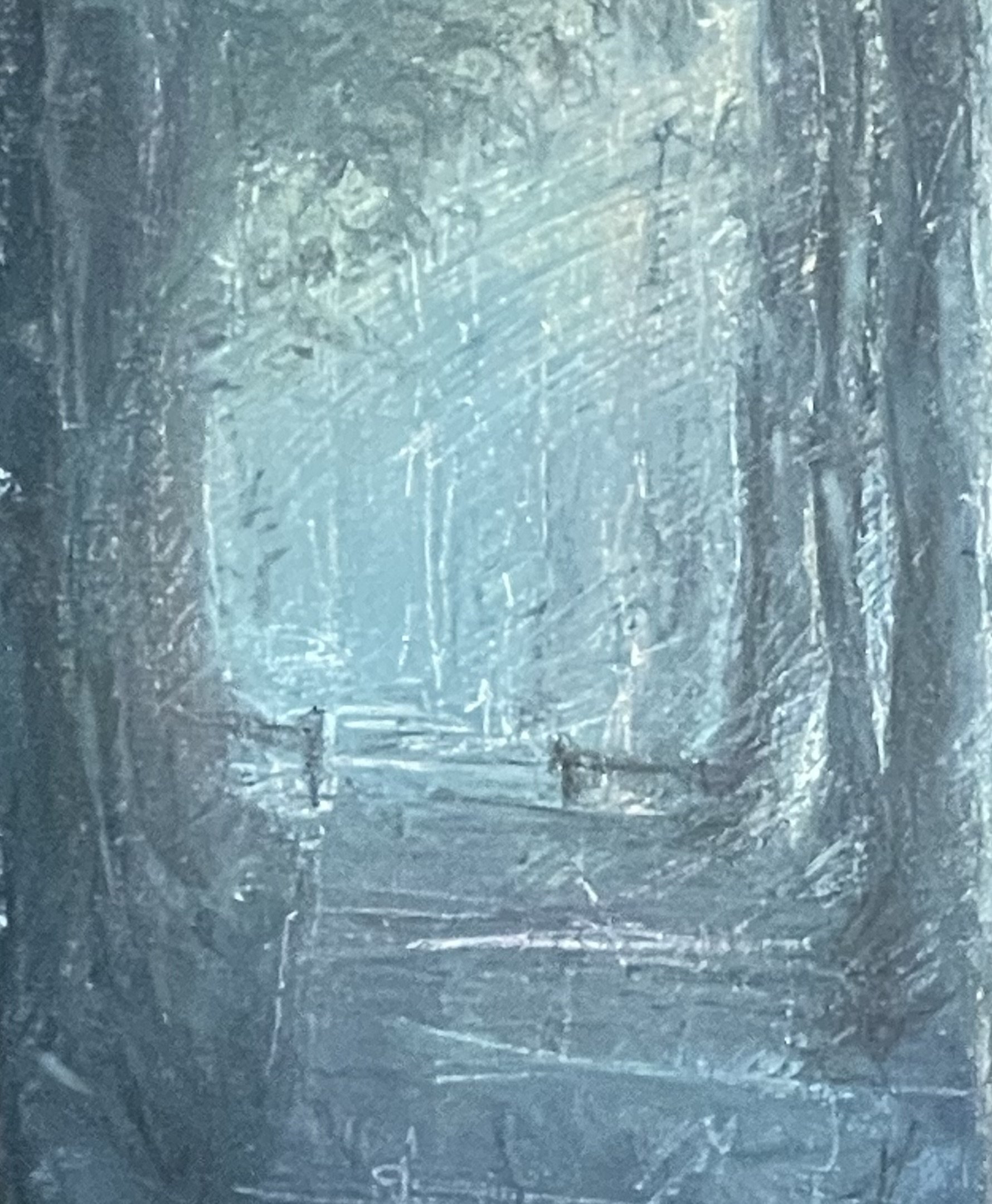 A snowy forest path with bare trees on both sides, covered in snow, under a pale sky.