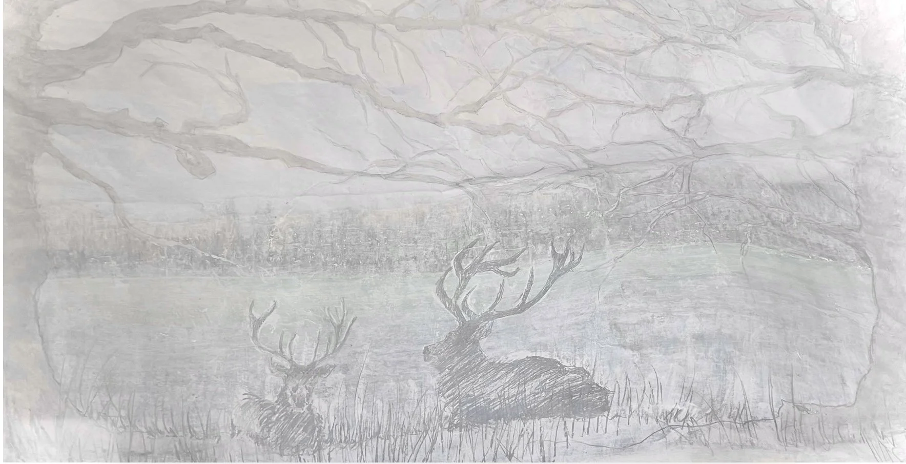 A sketch of two deer with antlers, lying in a field of grass, with a large shadowy mountain range in the background.