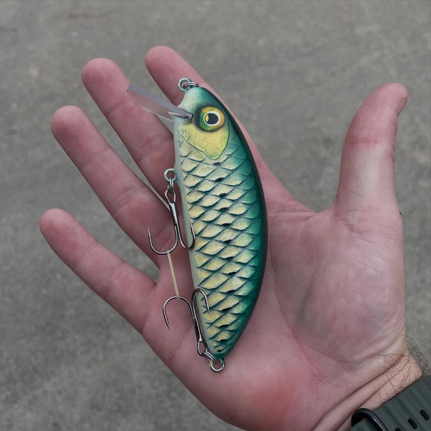 First time carving individual scales. It takes about as long as it looks!

#fishing #bassfishing #woodworking #carving #crankbait #jerkbait #luremaking #baitmaking #painting