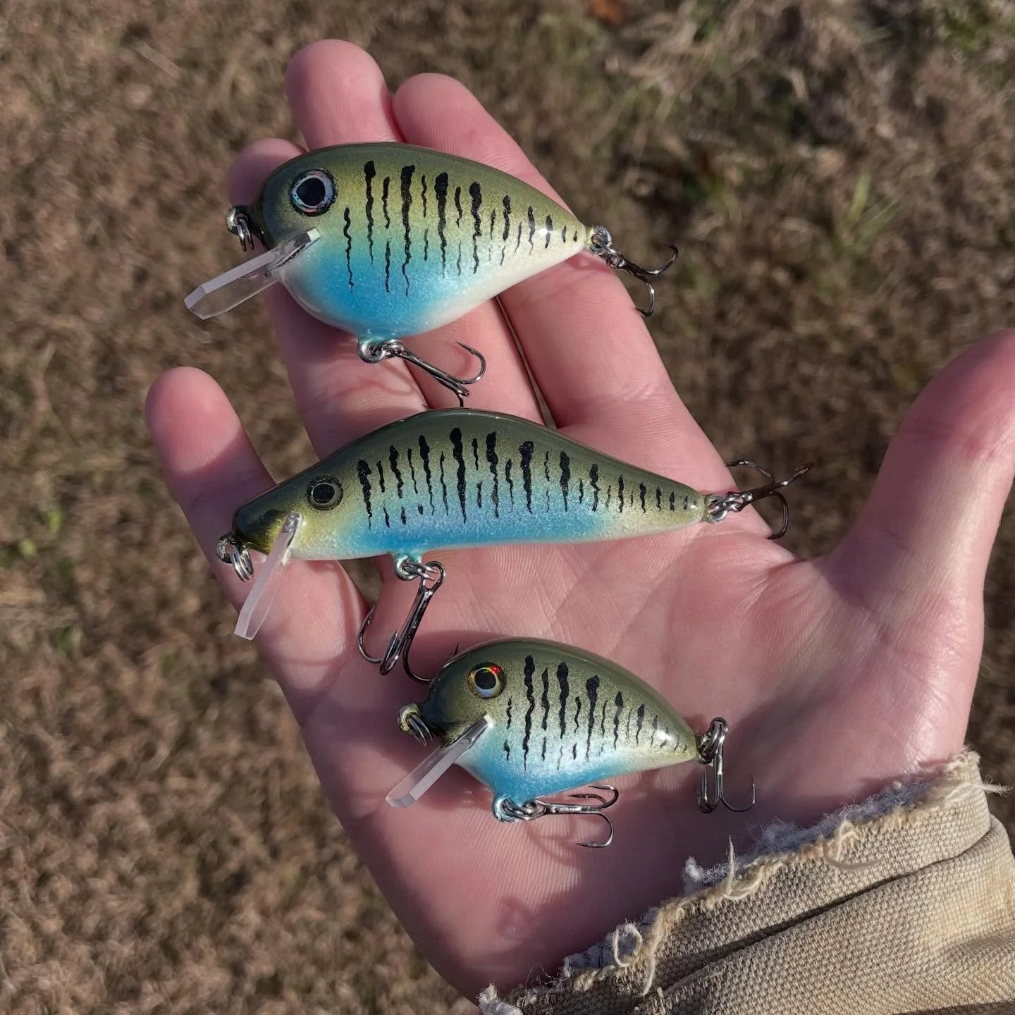 Batch of three. Same paint but different body styles.

#fishing #bassfishing #woodworking #carving #crankbait #jerkbait #luremaking #baitmaking #painting