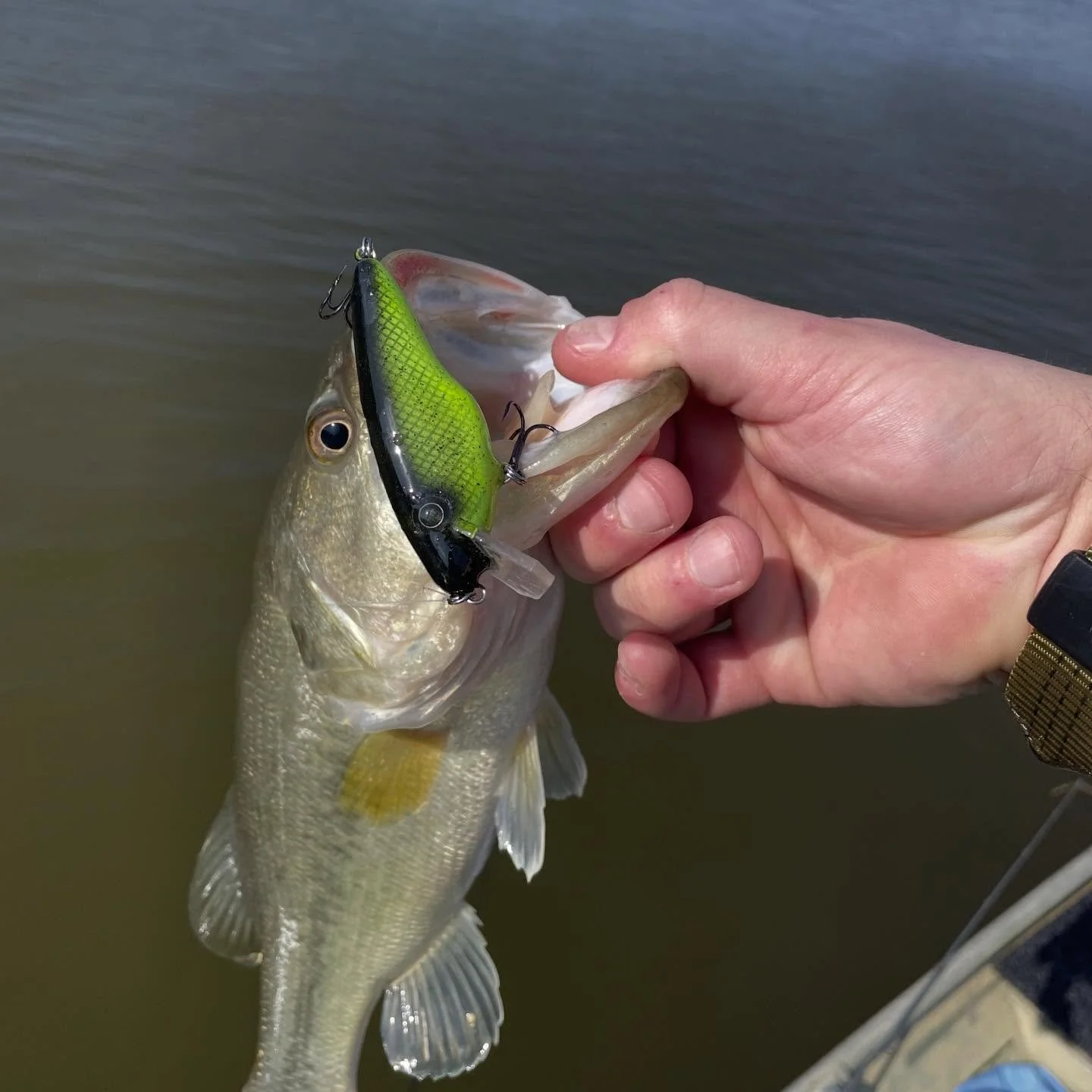 R&amp;D department hard at work now that the weather is good. 

#luremaking #luremaker #crankbait