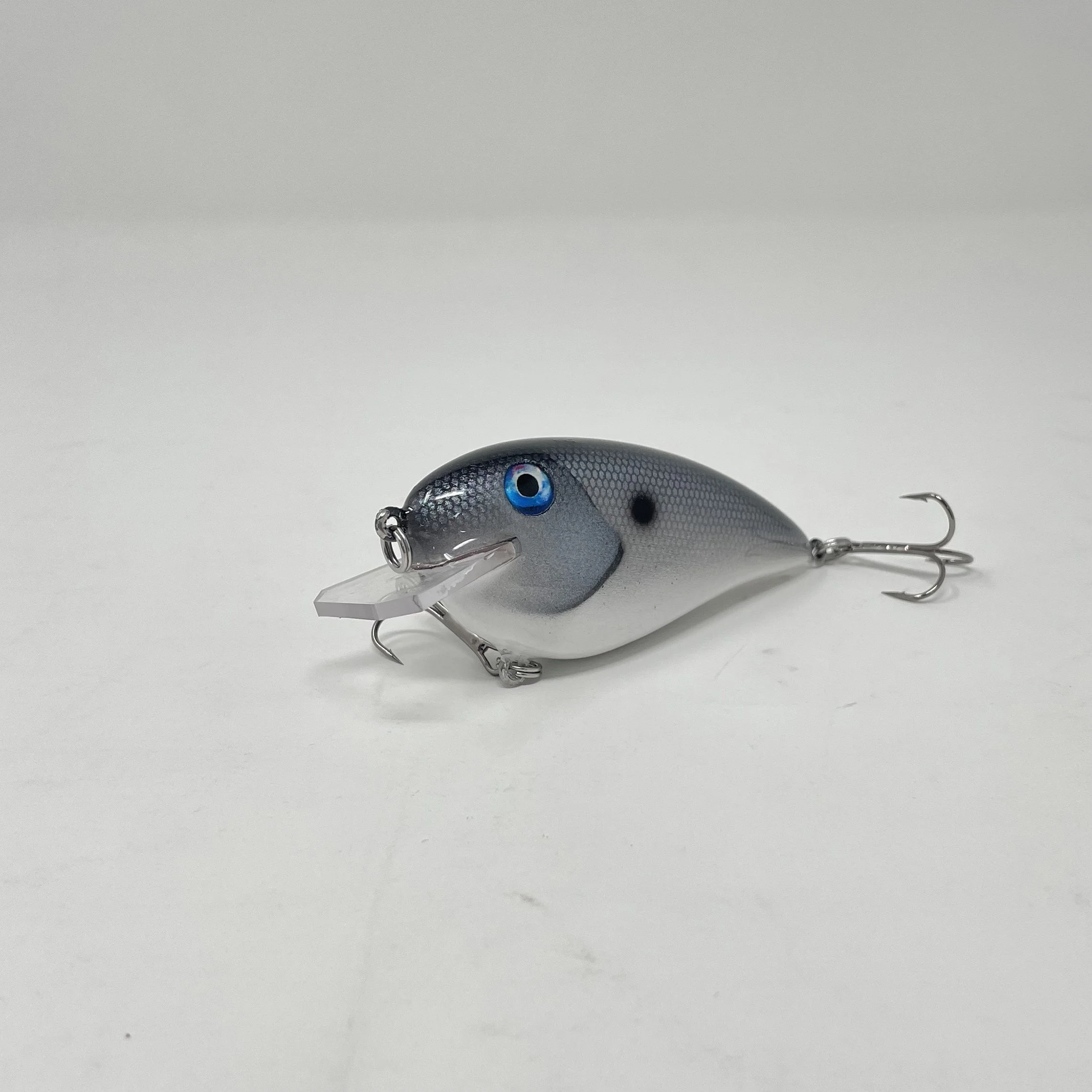 Very Good Squarebill