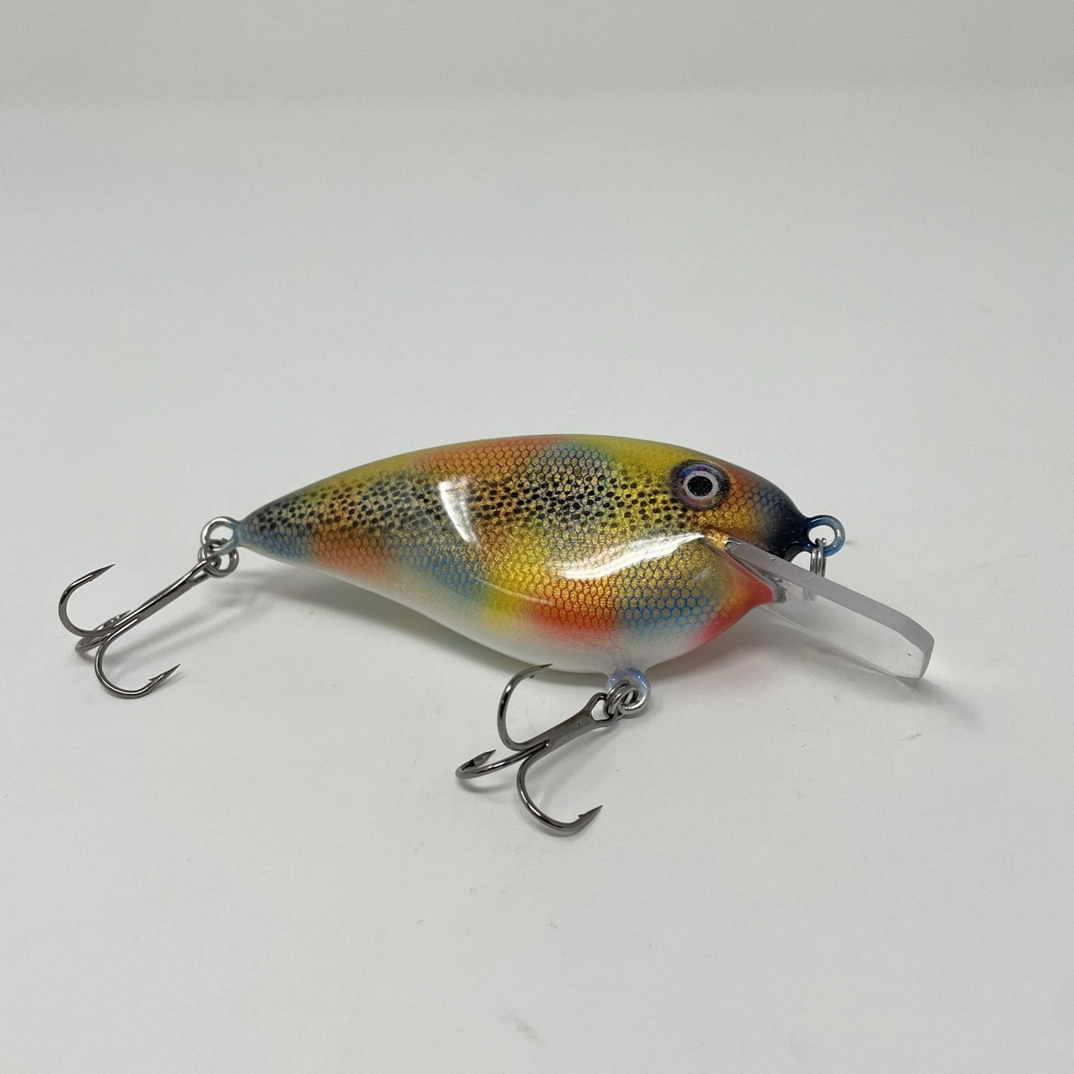 Rainbow+shad+1.jpg