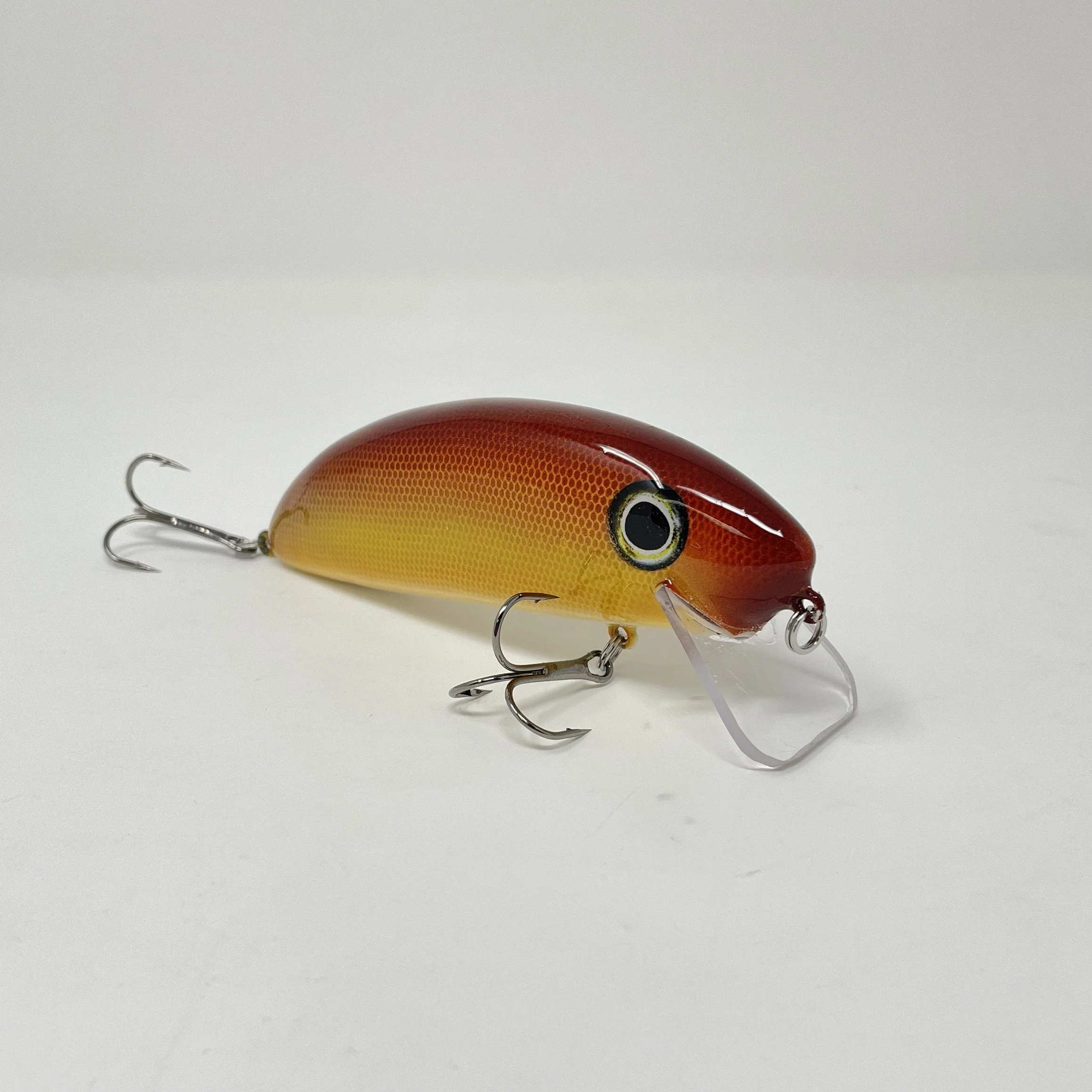 Yellow Brown Flat 2.jpg