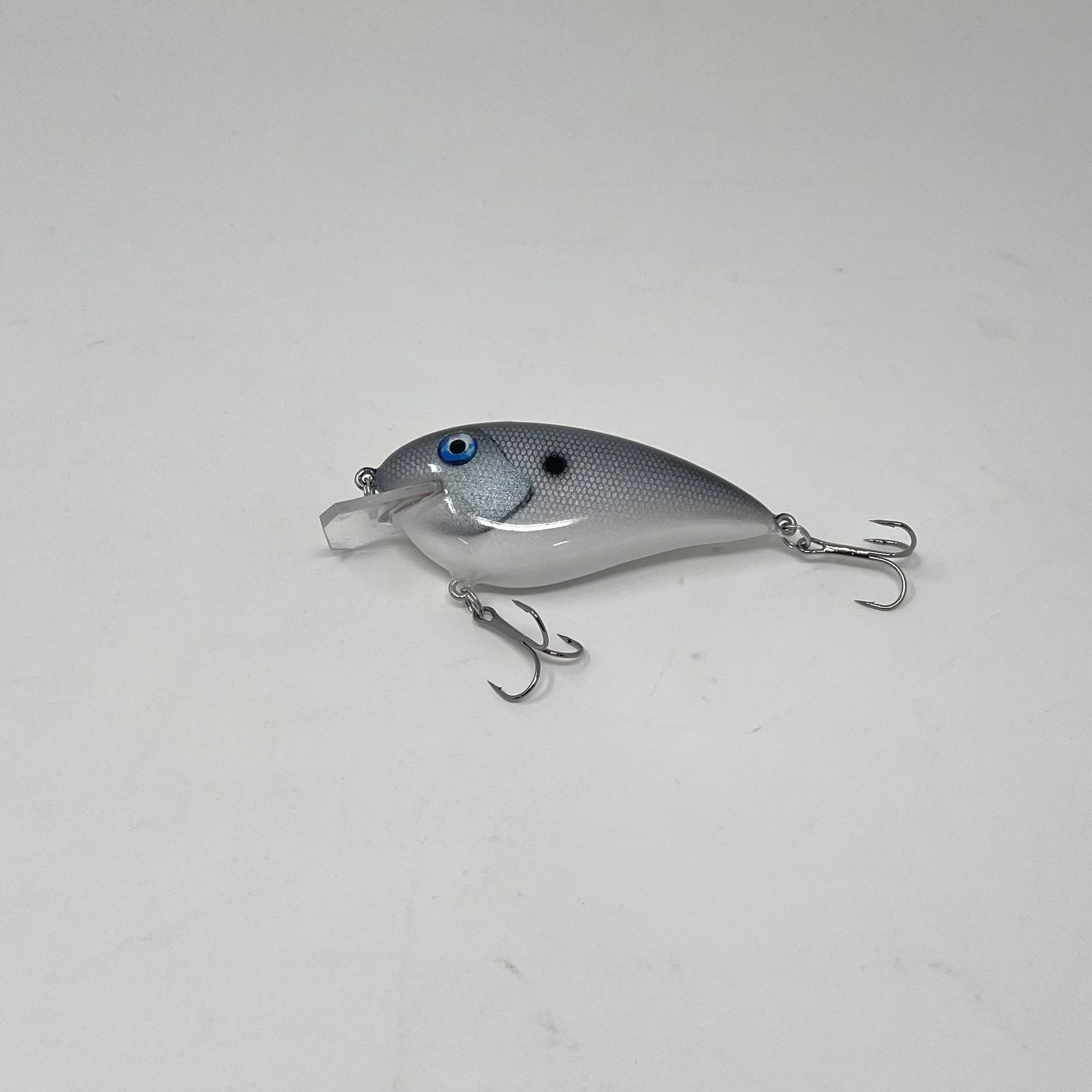 Silver Shad 2.jpg