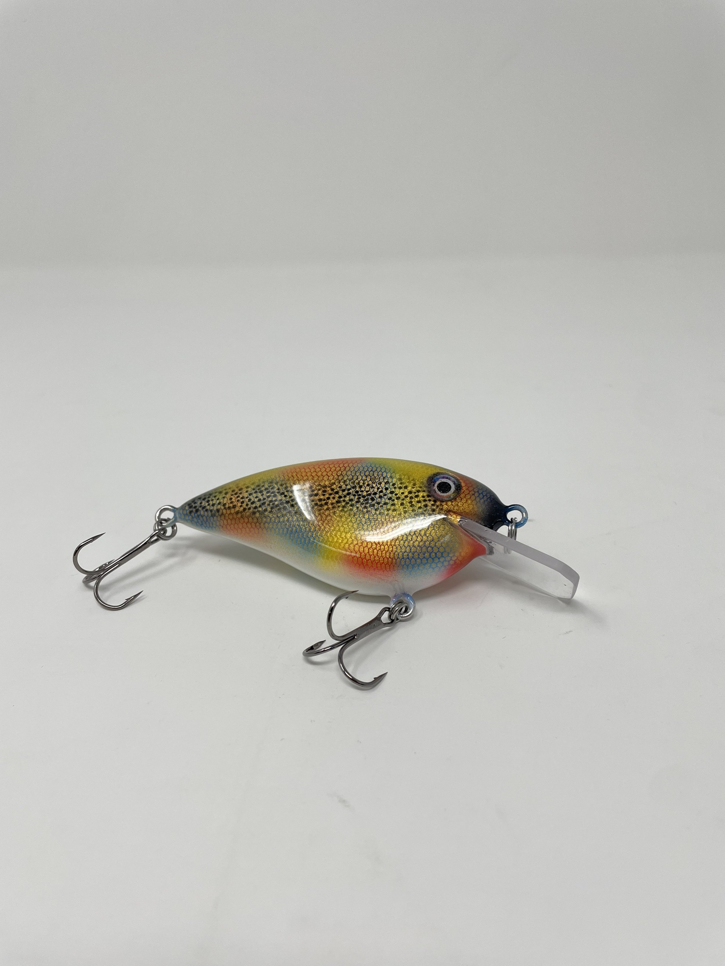 Very Good Squarebill