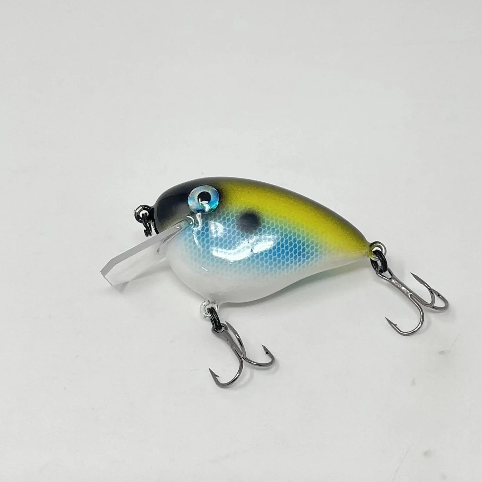 Black+Back+Shad+2.jpg