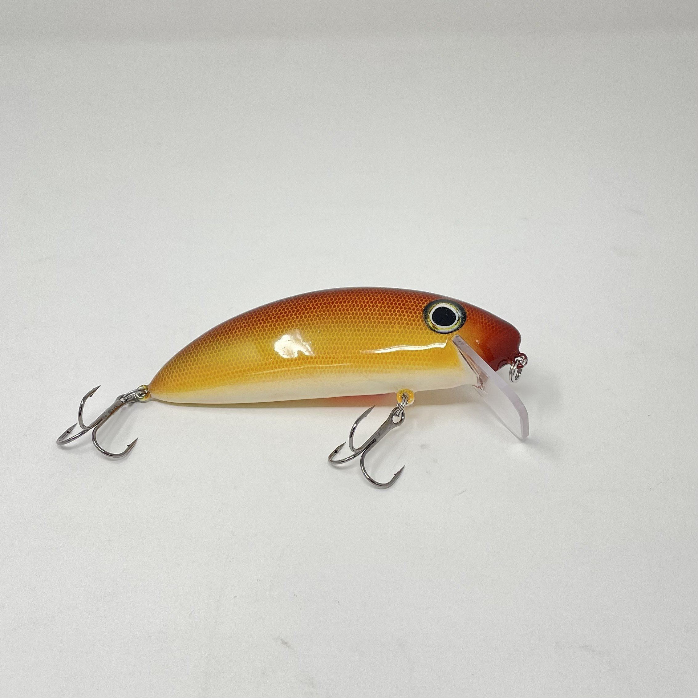 Yellow Brown Flat 1.jpg