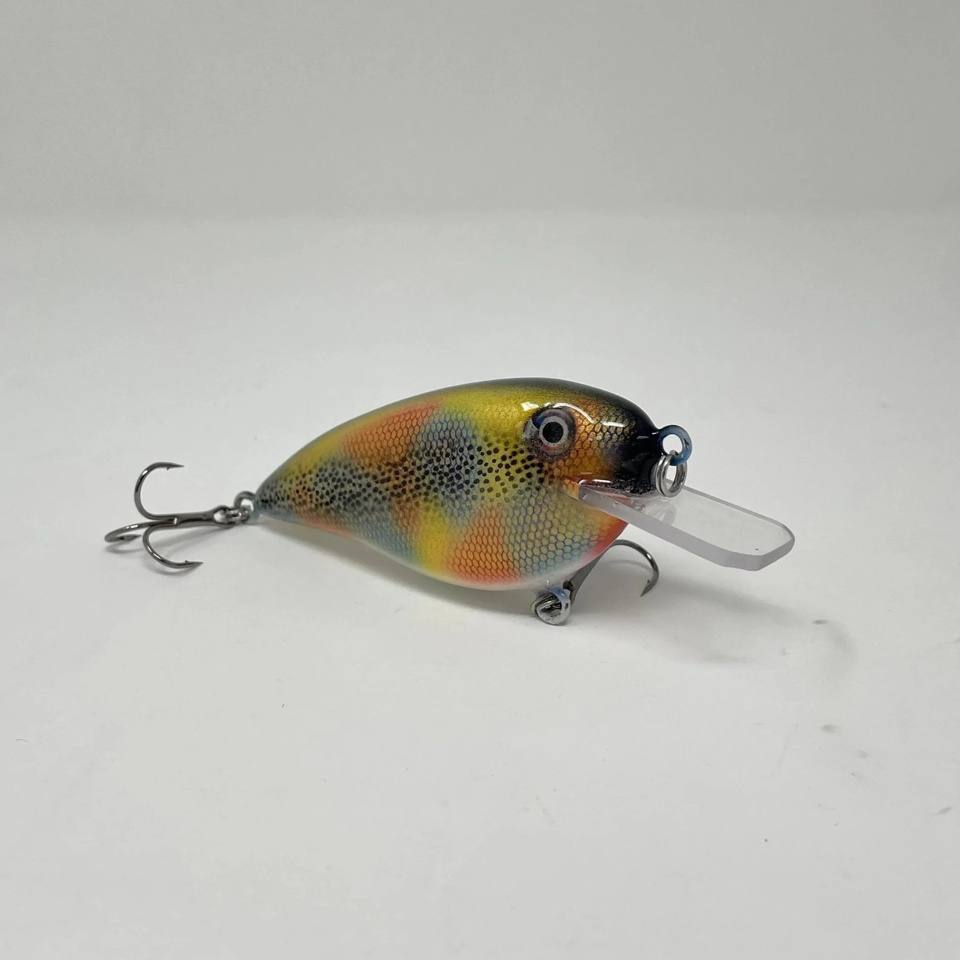 Rainbow+shad+2.jpg