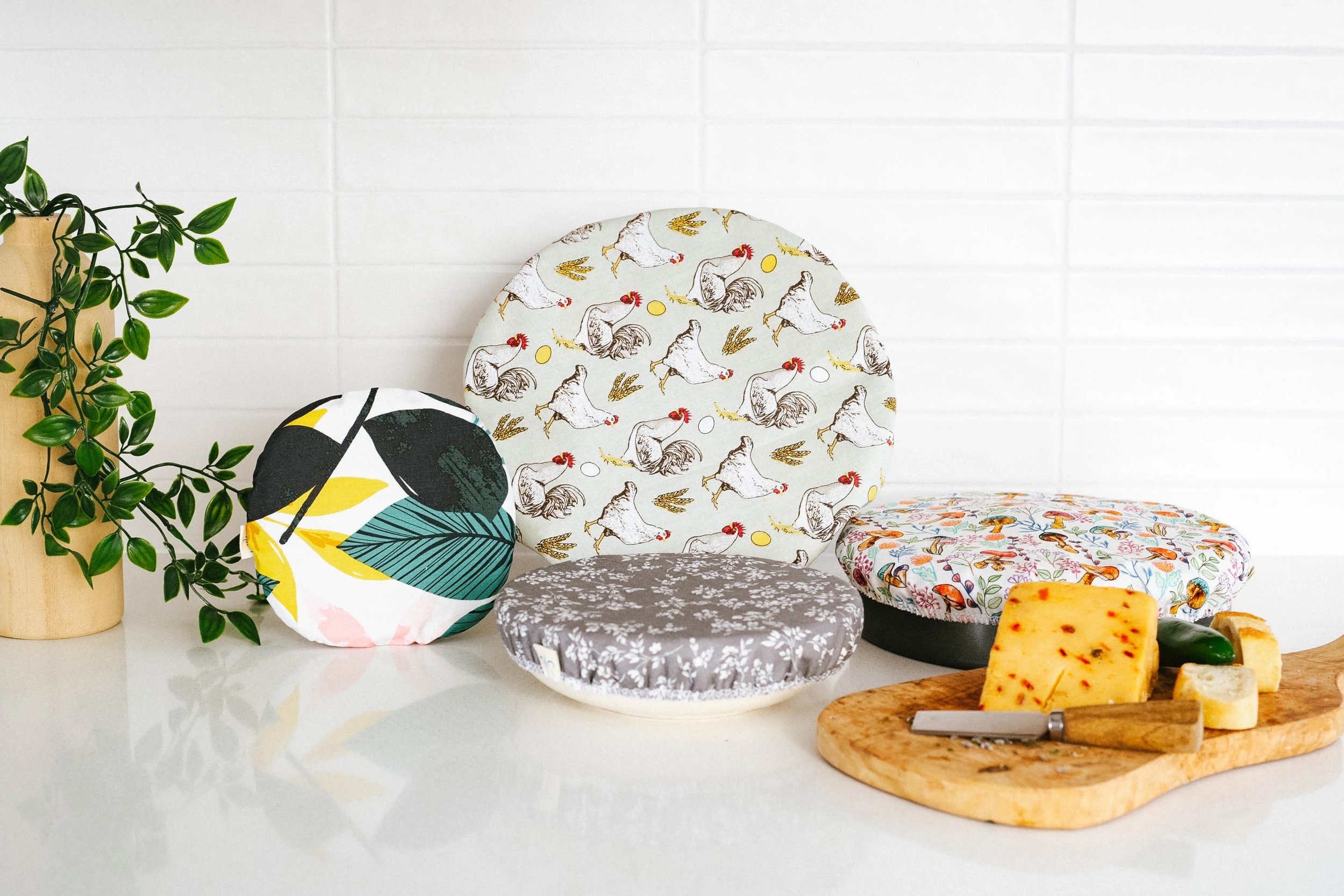 Marketing Plan for Coast to Coast Sustainables