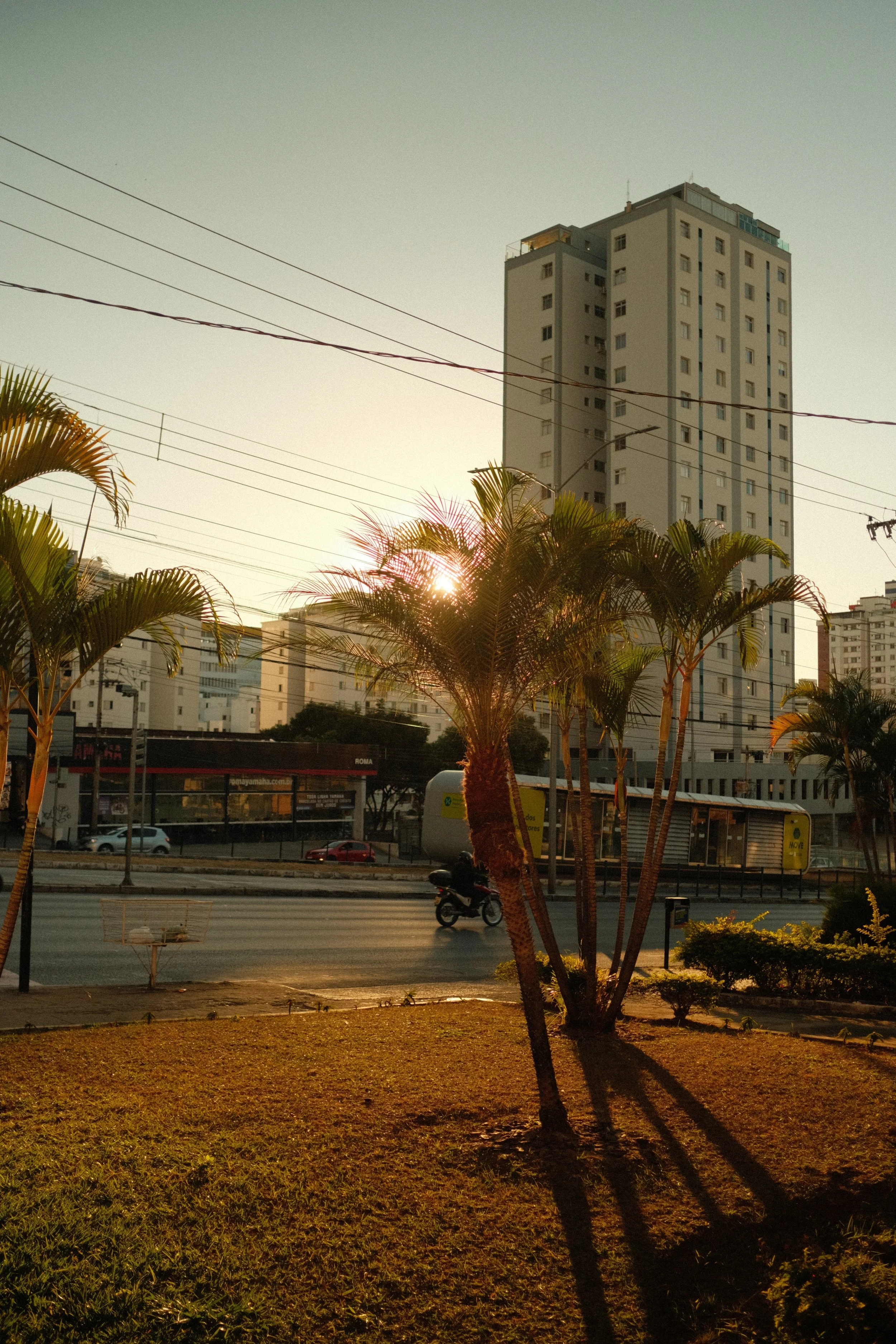 DSCF1054.jpg