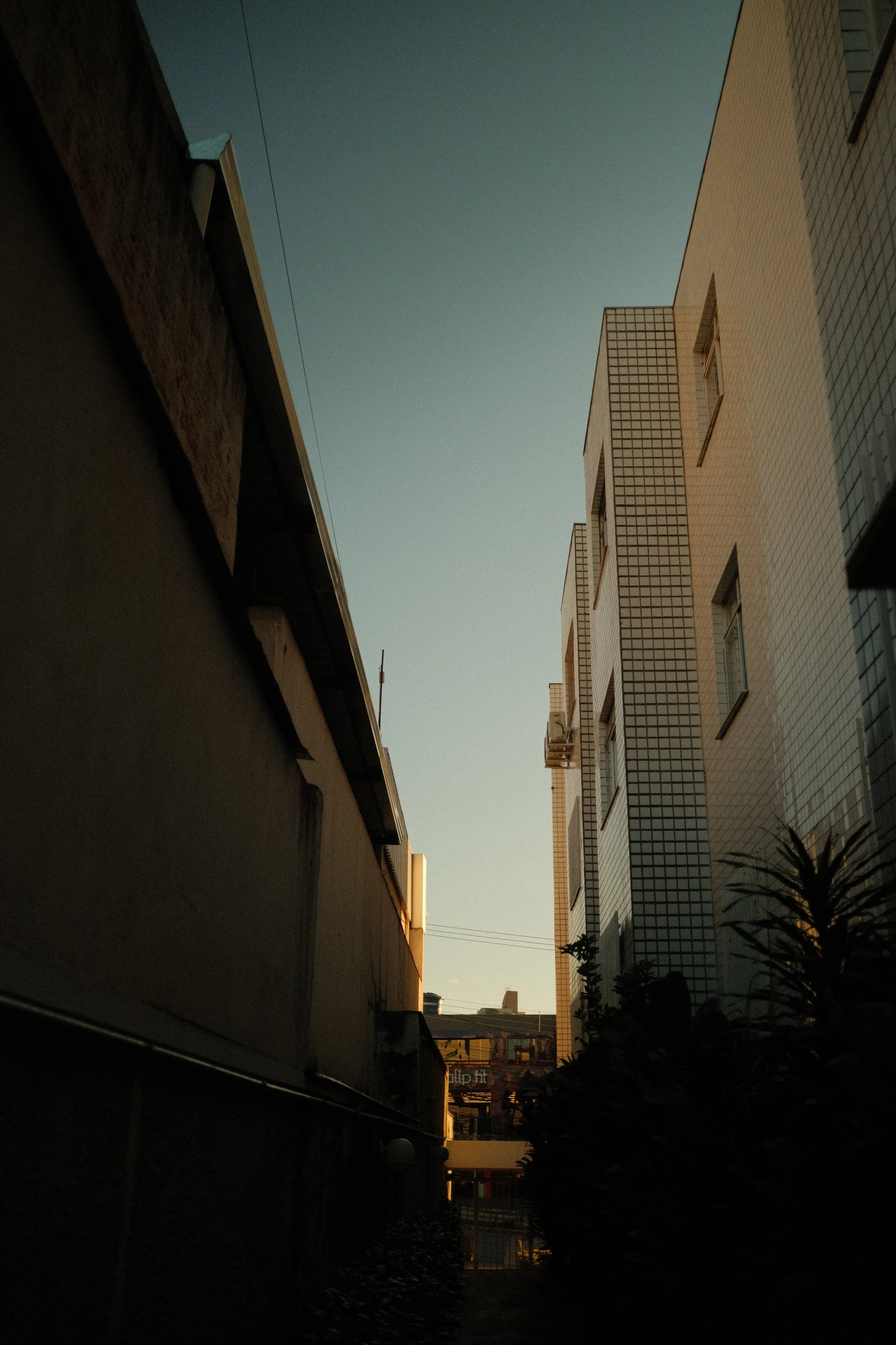 Cidade Nova - Portra 160 (simulation)
