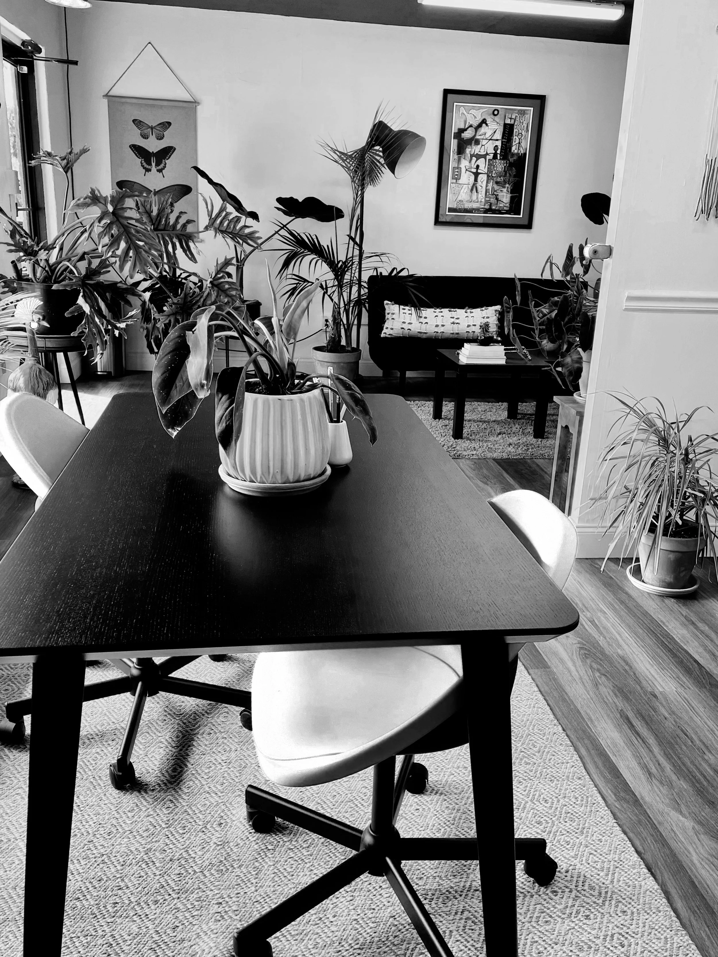 B&W-IMG_2929.jpg