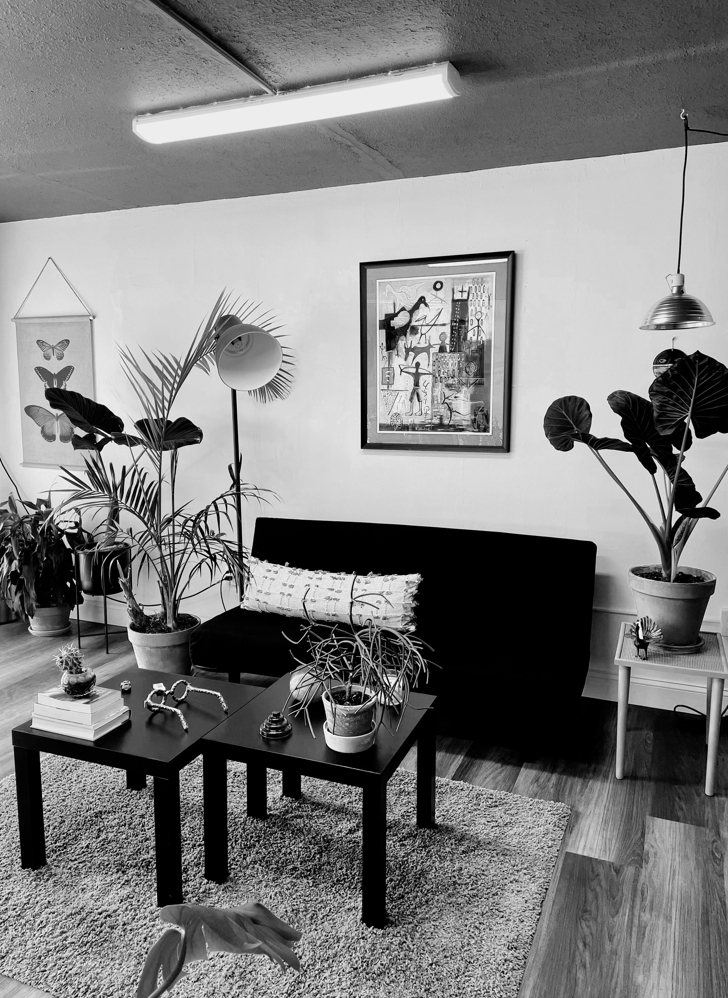 B&W-IMG_2920.jpg