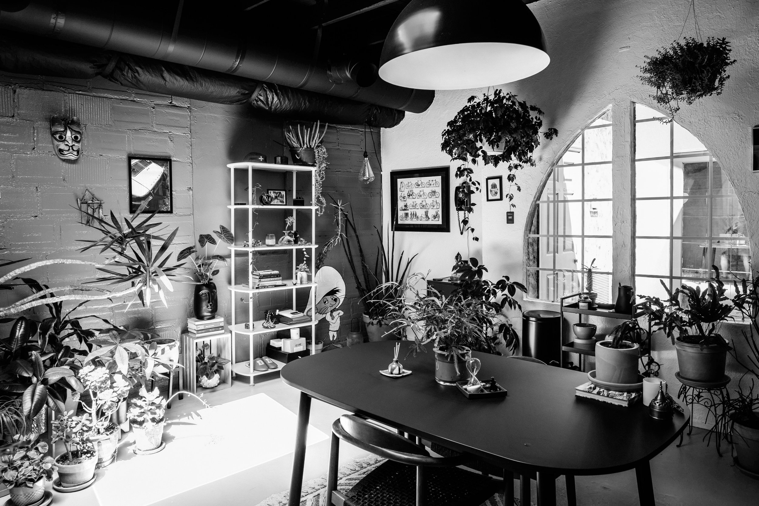 B&W-6-DSCF6619.jpg