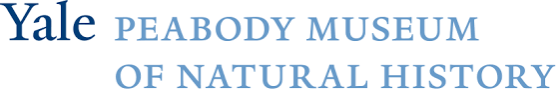 Yale Peabody Museum of Natural History.png