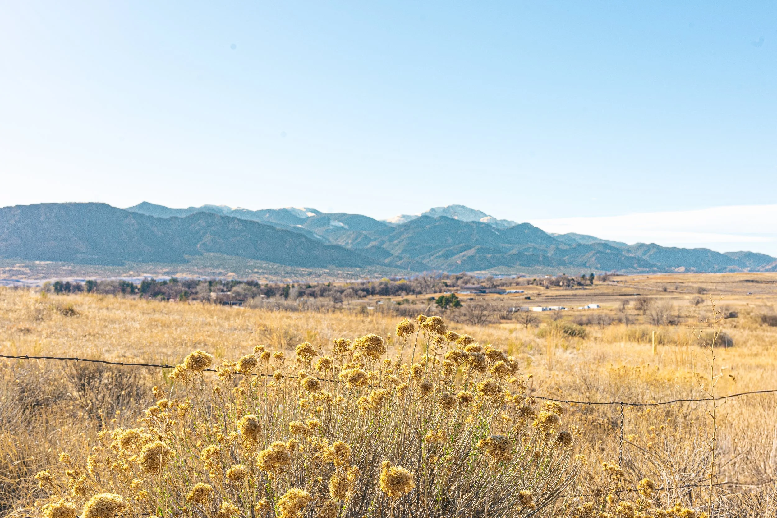 A vast, dry grassland with yellowish-brown plants, a distant mountain range with snow-capped peaks under a clear blue sky.