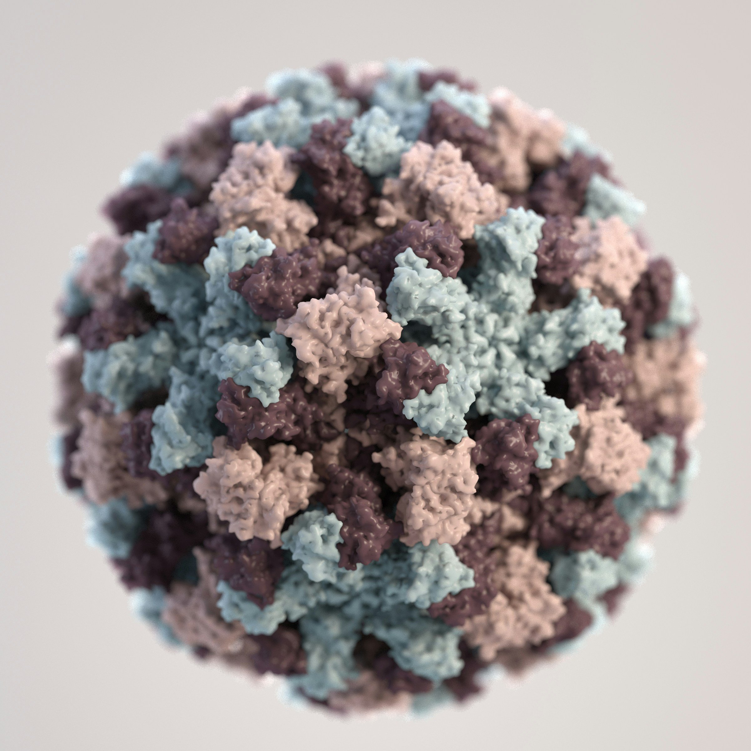 Colorful virus particle with spike proteins, shown in shades of pink, purple, and blue.