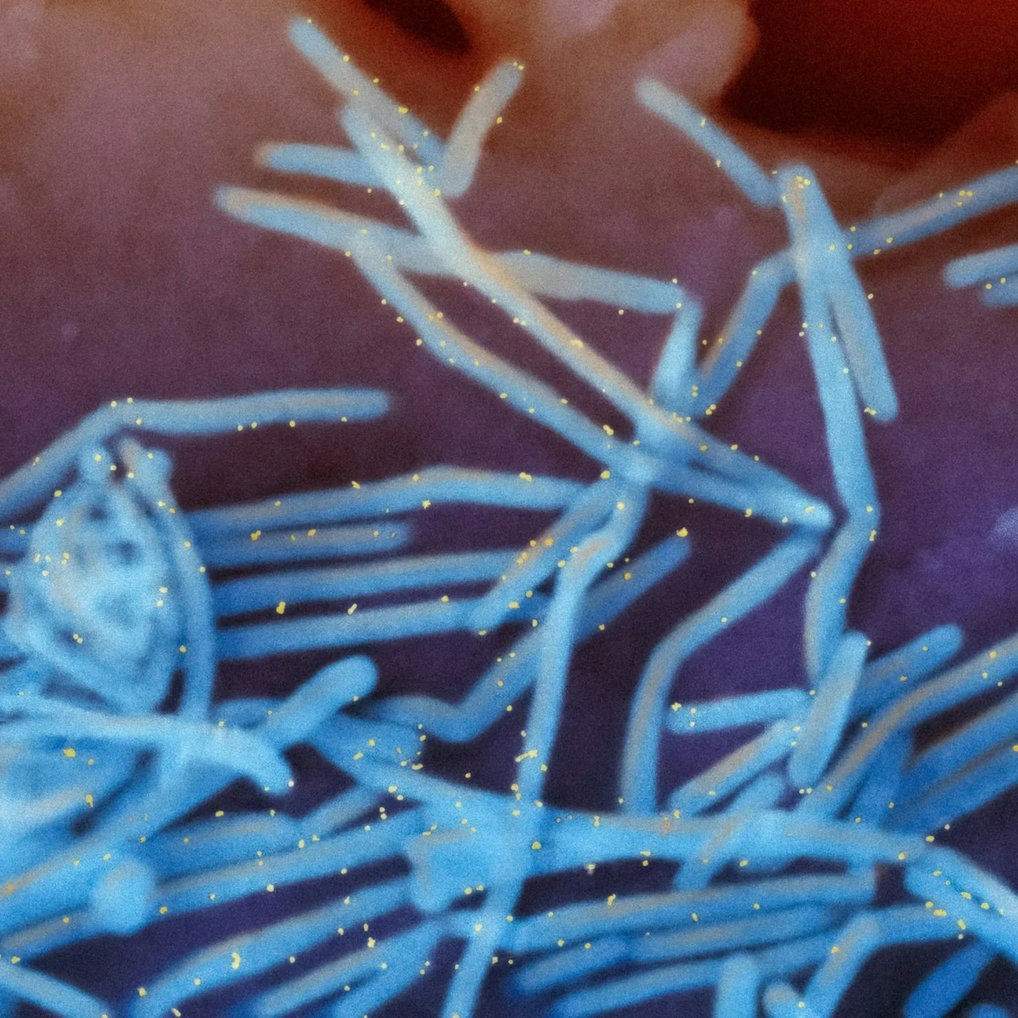 A skeleton lying on its side with limbs extended, painted in a blue glow with yellow sparkles surrounding it.