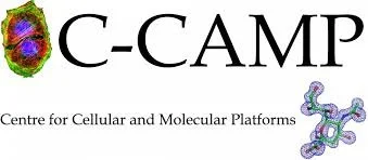 C-CAMP logo with a colorful abstract shape and a stylized molecule on a white background.