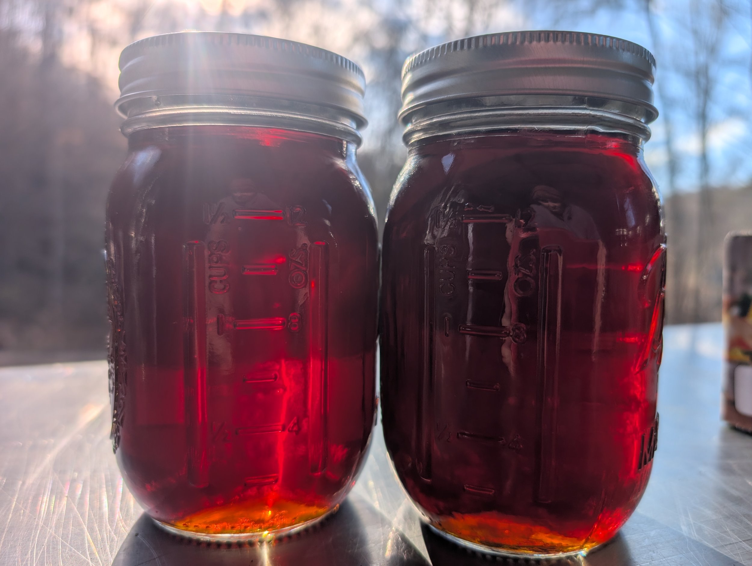 PXL_20260123_202620261 (1).jpg