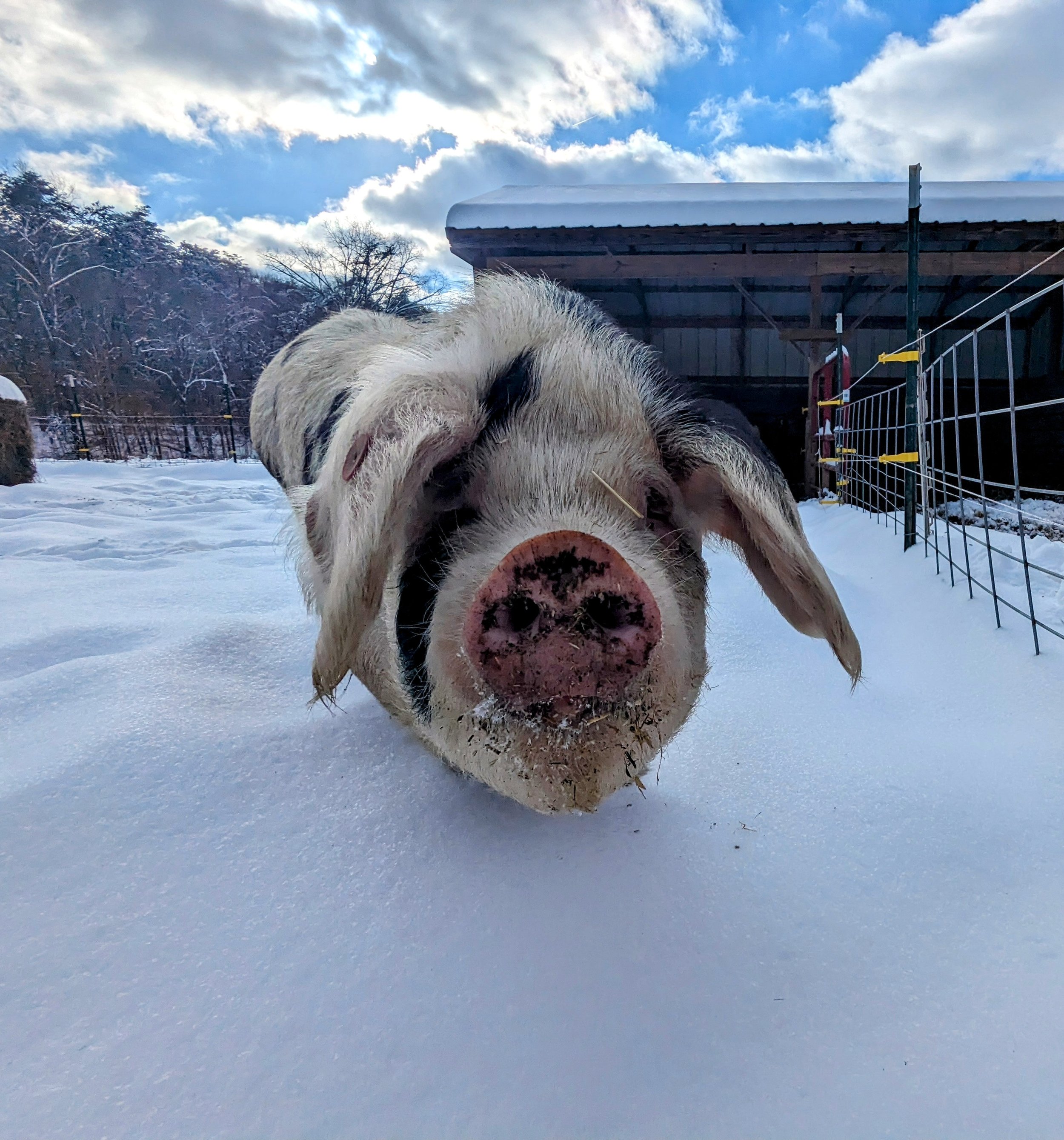 PXL_20240116_201130358~2 (1).jpg