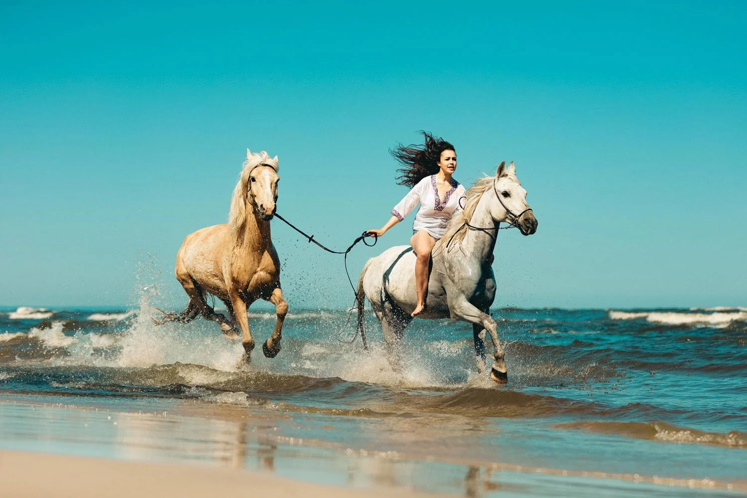 Horseback Riding in Punta Cana | Beach Trail Adventure