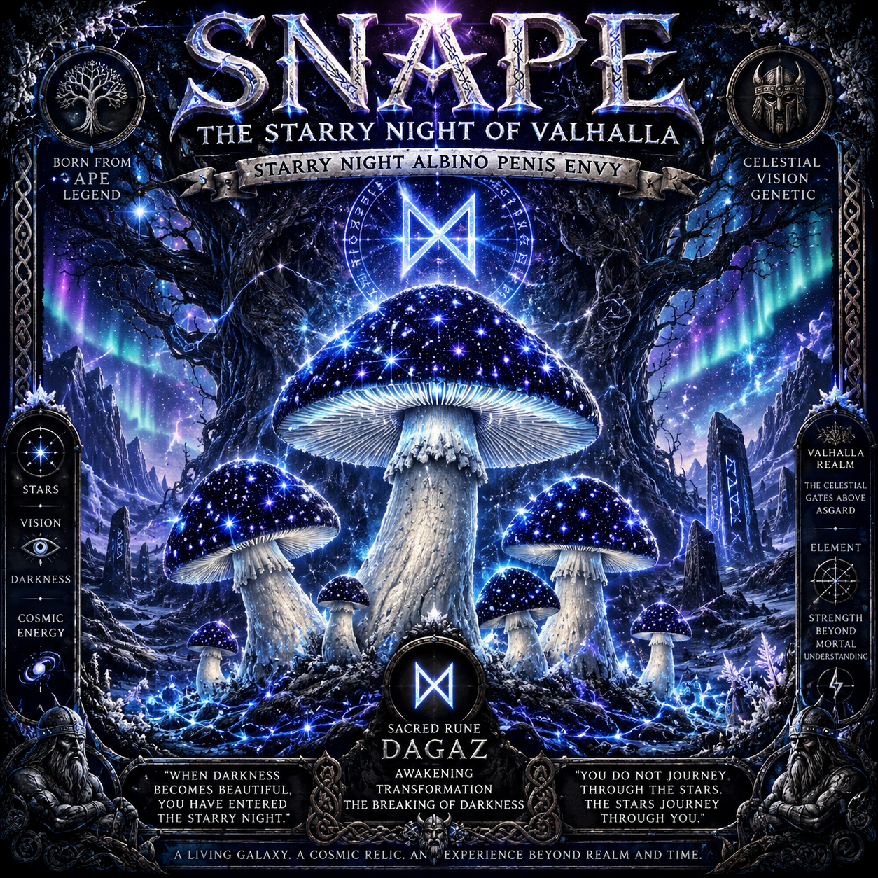 SNAPE STARRY NIGHT PENIS ENVY