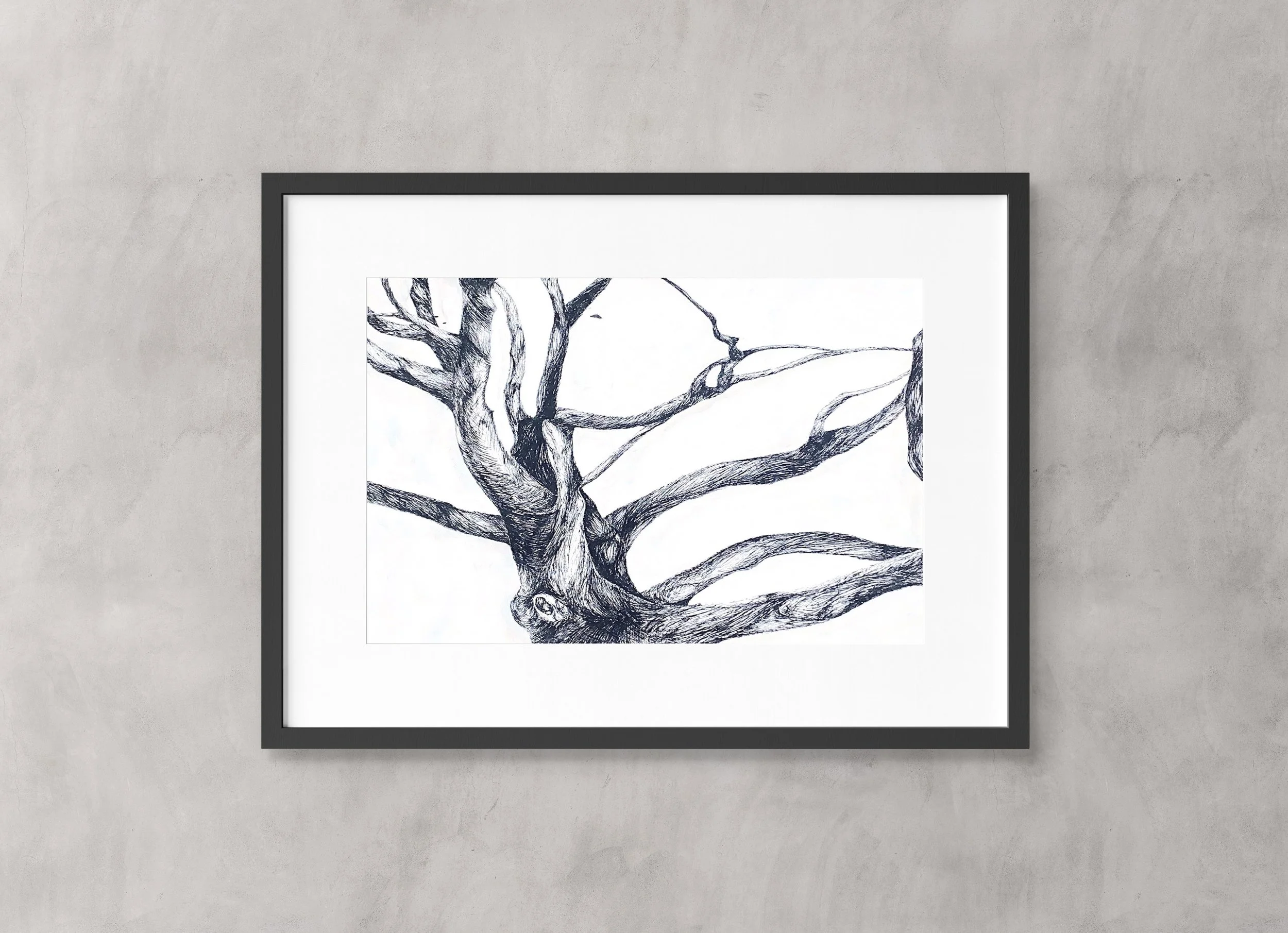 Paintings & Illustrations