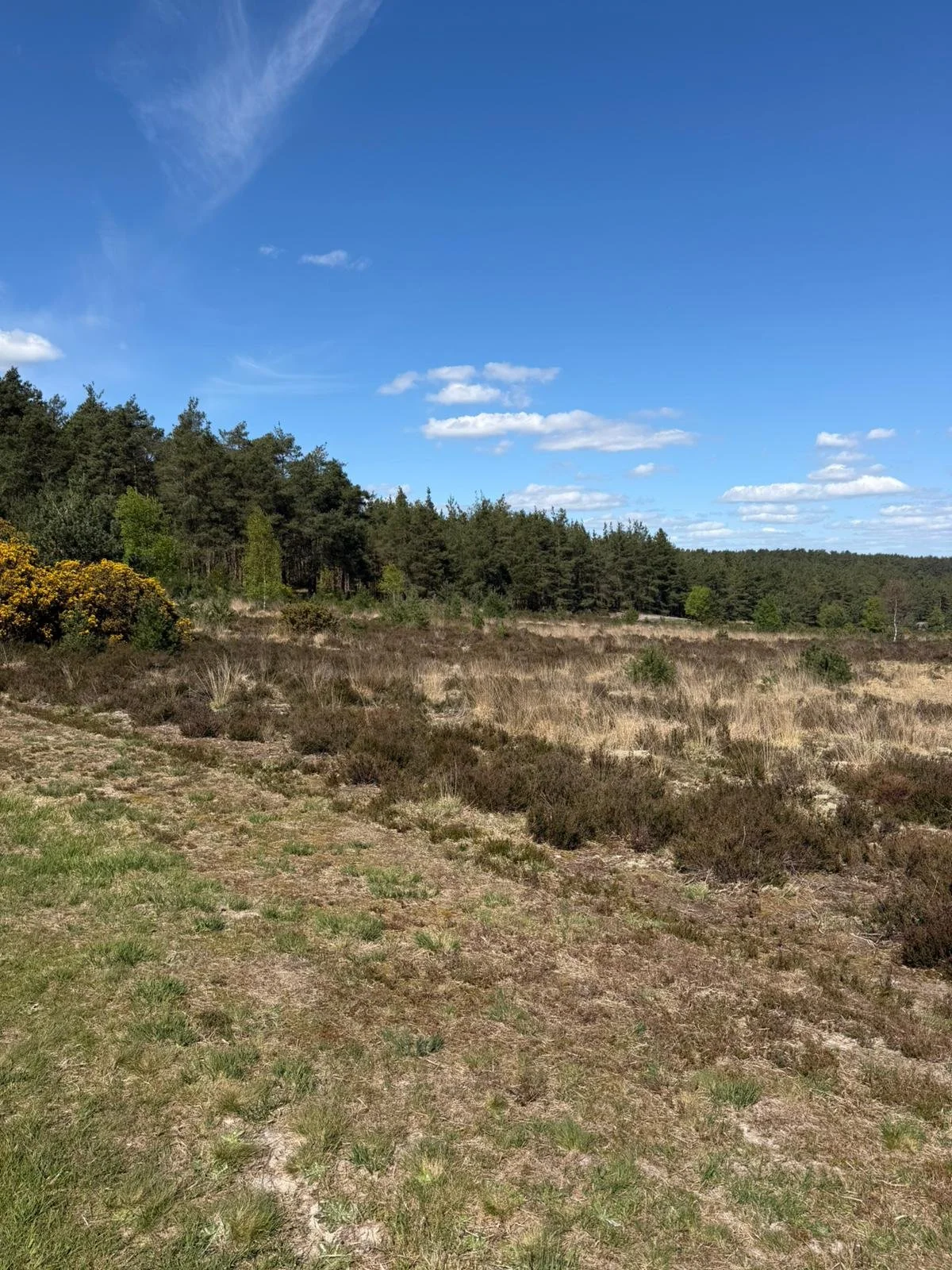 WhatsApp Image 2026-04-19 at 13.34.14 (1).jpeg