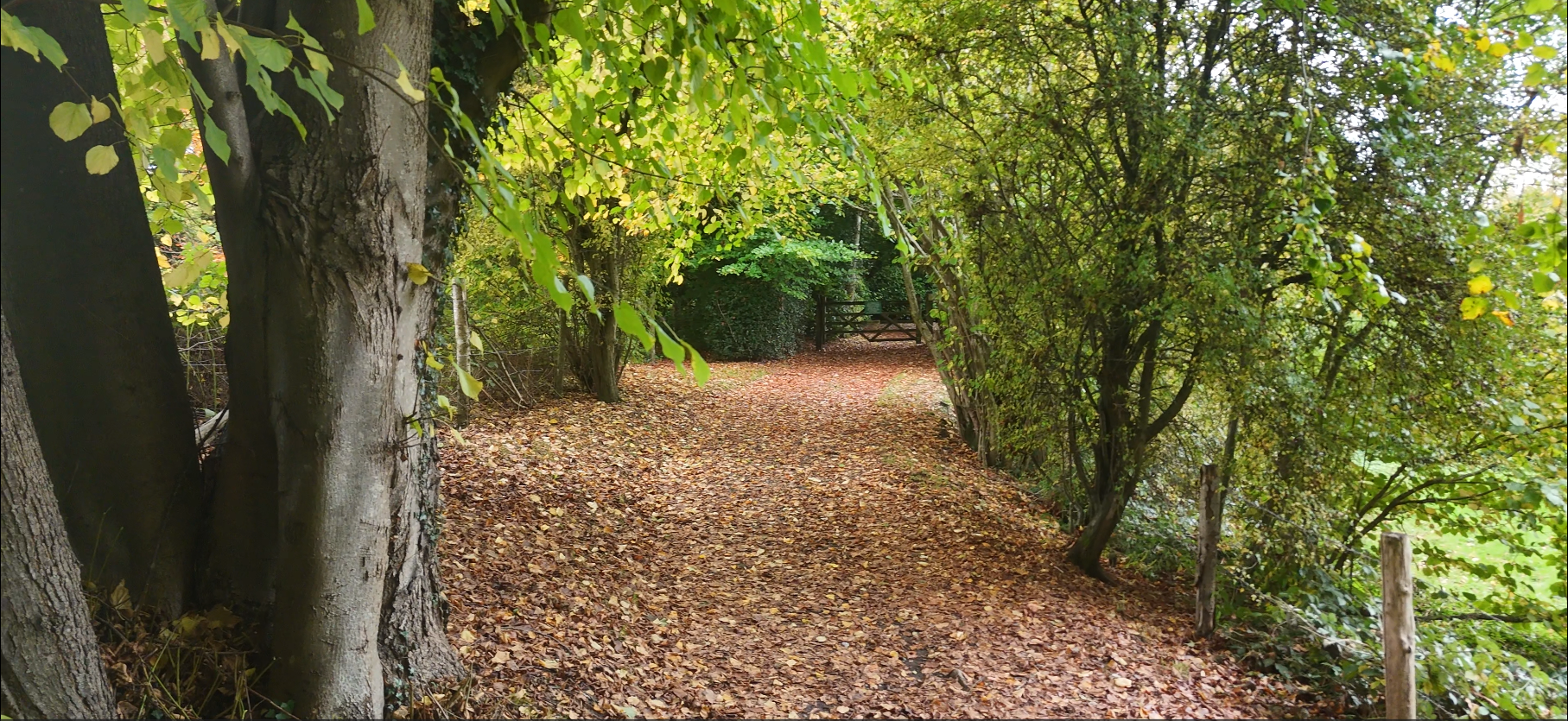 Screenshot 2025-10-23 025151.png