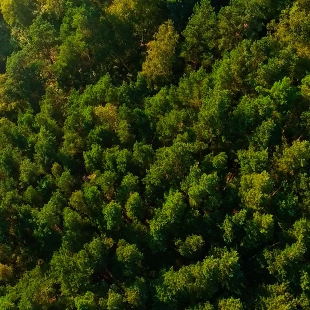 DJI_20260812191857_0043_D_1786574686982.jpg