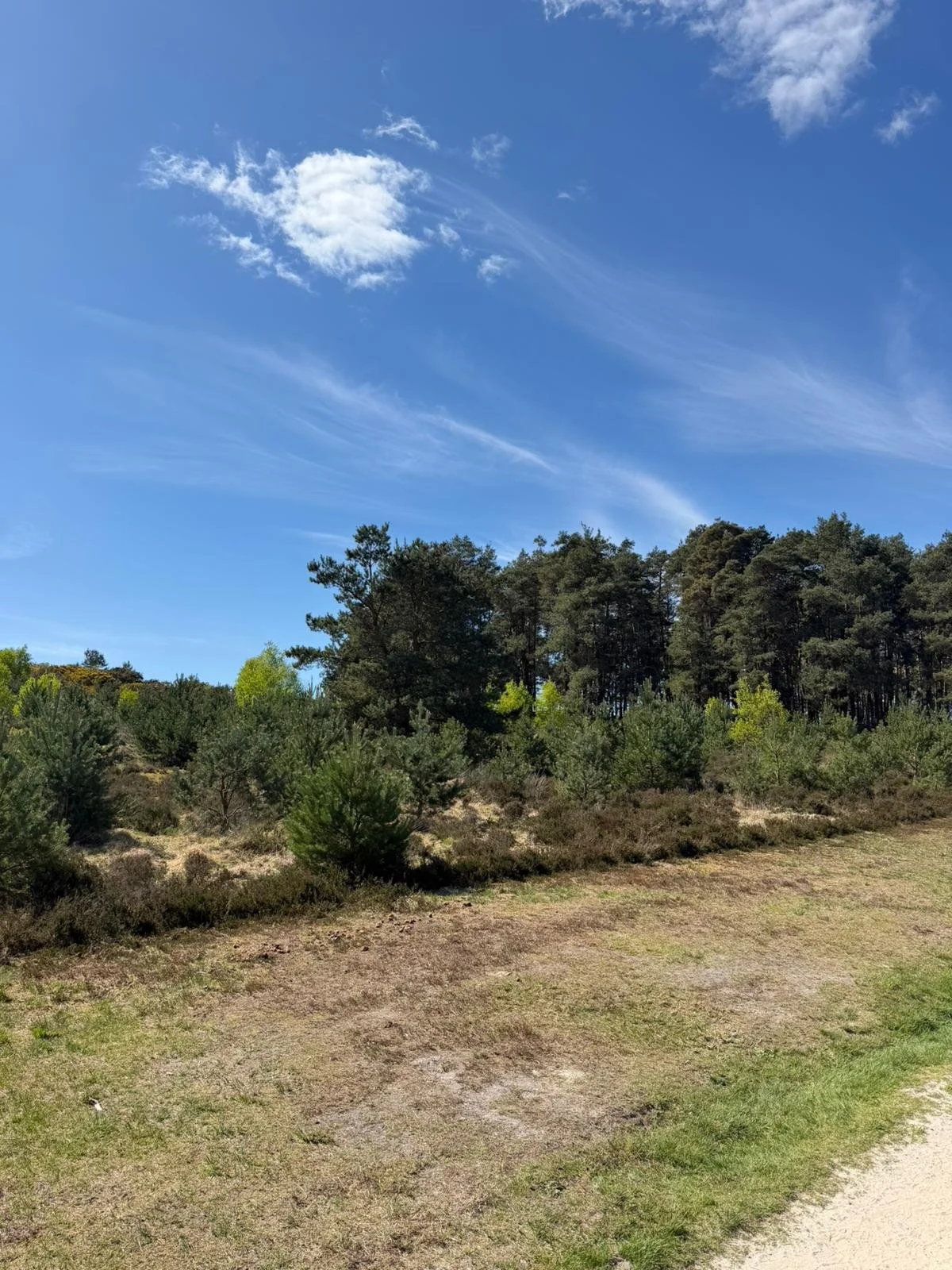 WhatsApp Image 2026-04-19 at 13.34.14 (2).jpeg