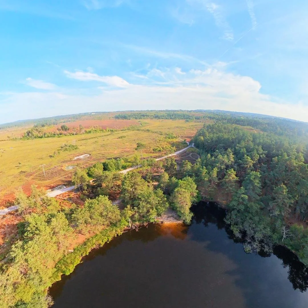 DJI_20260826170413_0047_D_1787793108275.jpg