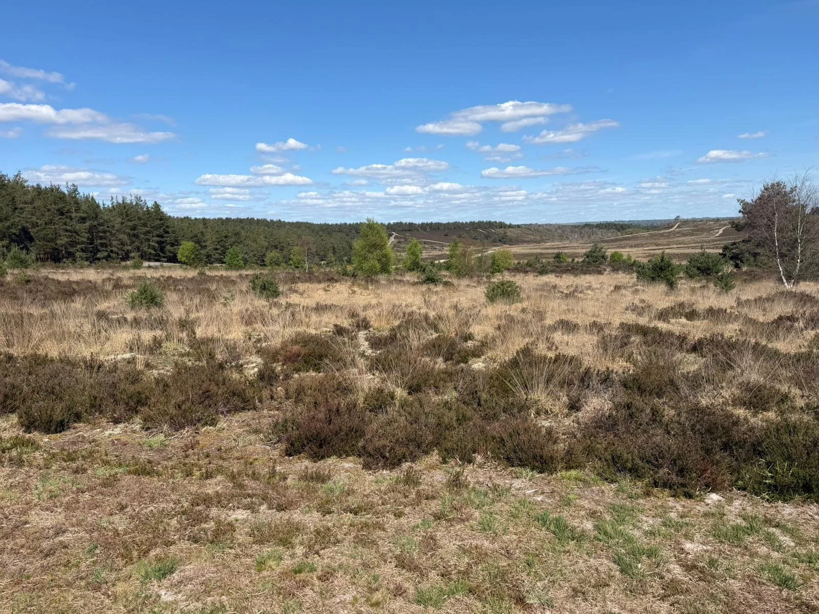 WhatsApp Image 2026-04-19 at 13.34.14 (4).jpeg