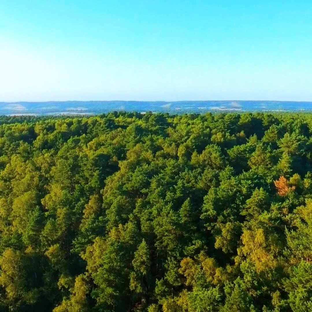 DJI_20260812191857_0043_D_1786574671867.jpg